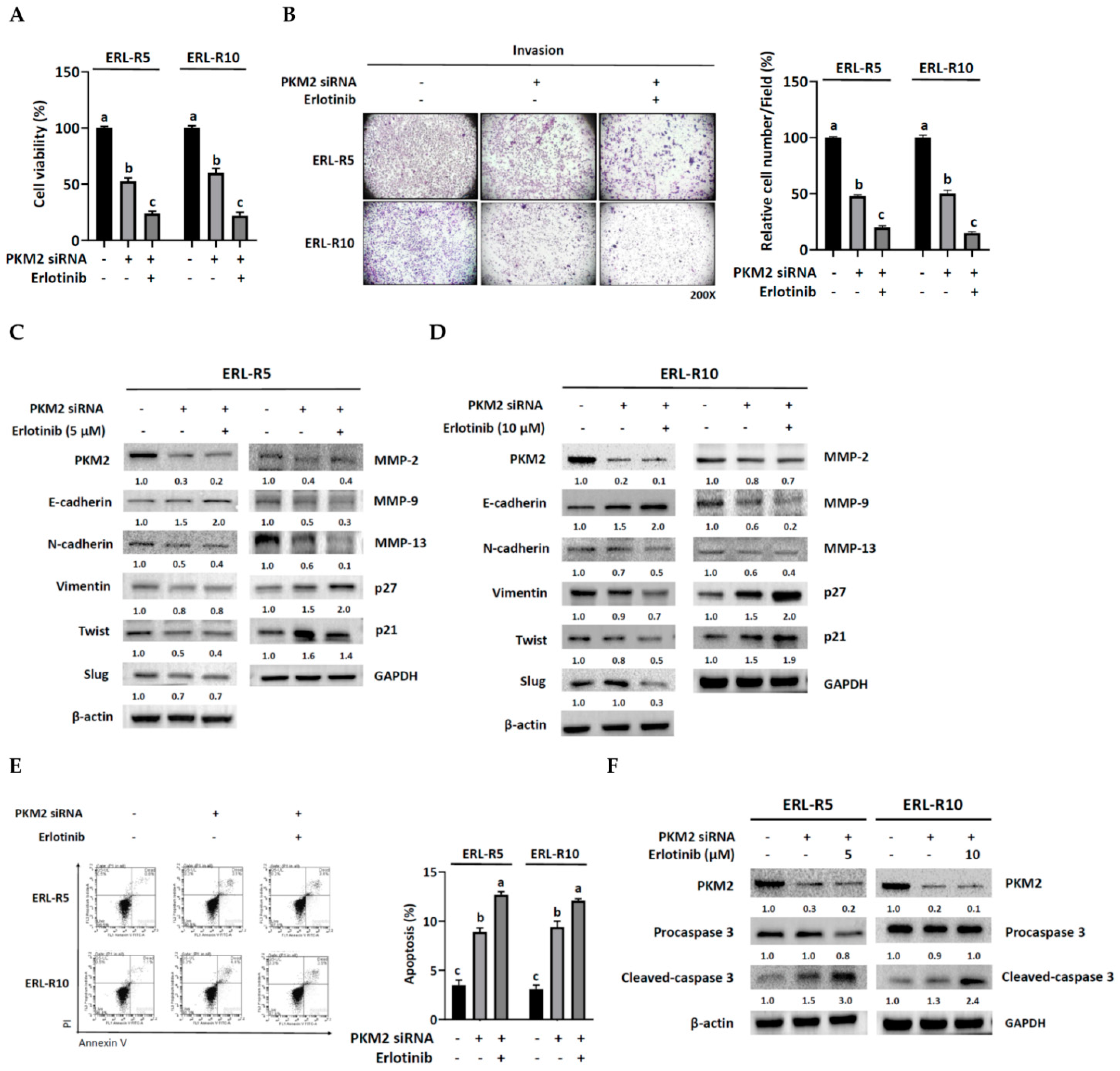Cells 12 00179 g006 Cells 12 00179 g006