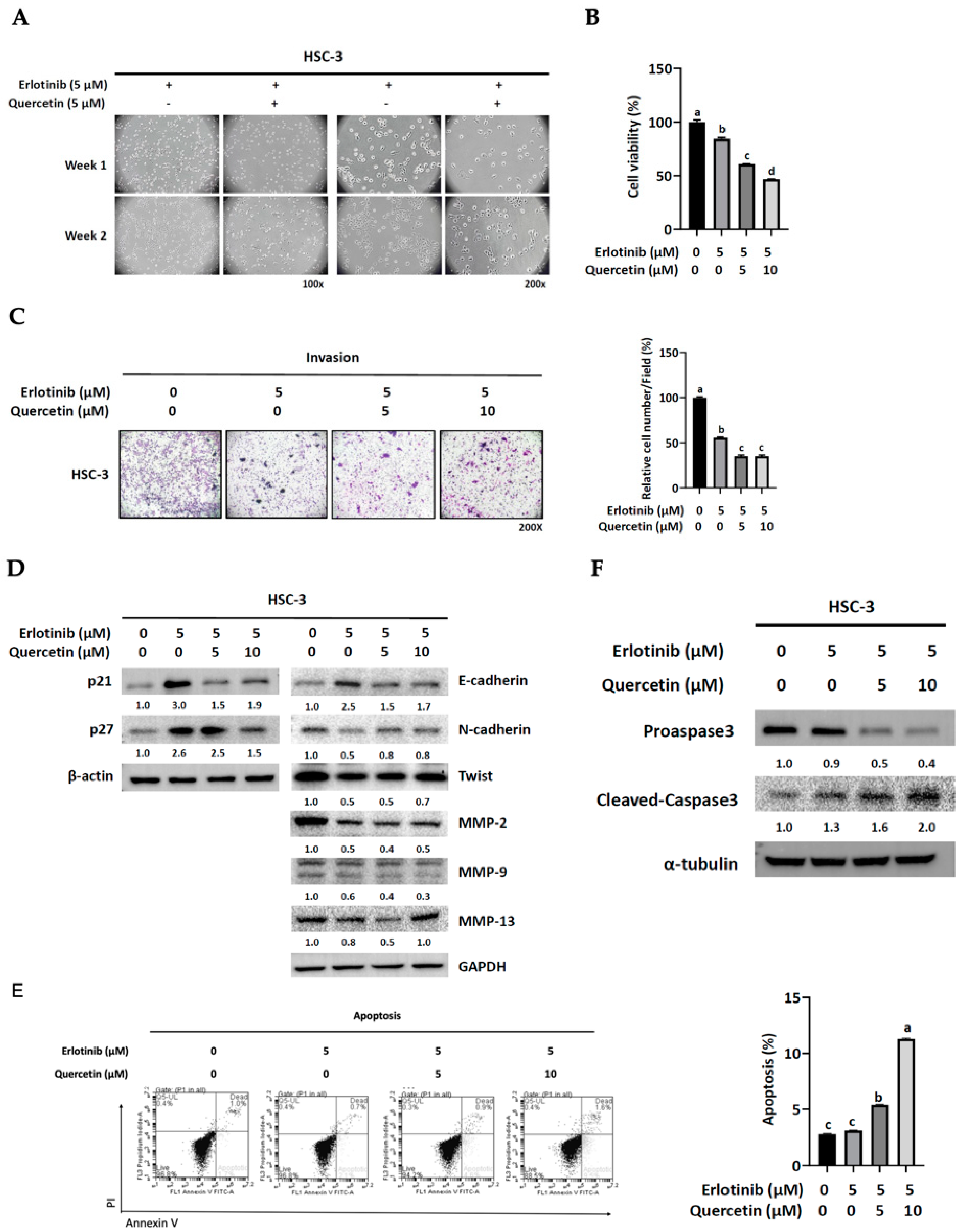 Cells 12 00179 g007 Cells 12 00179 g007