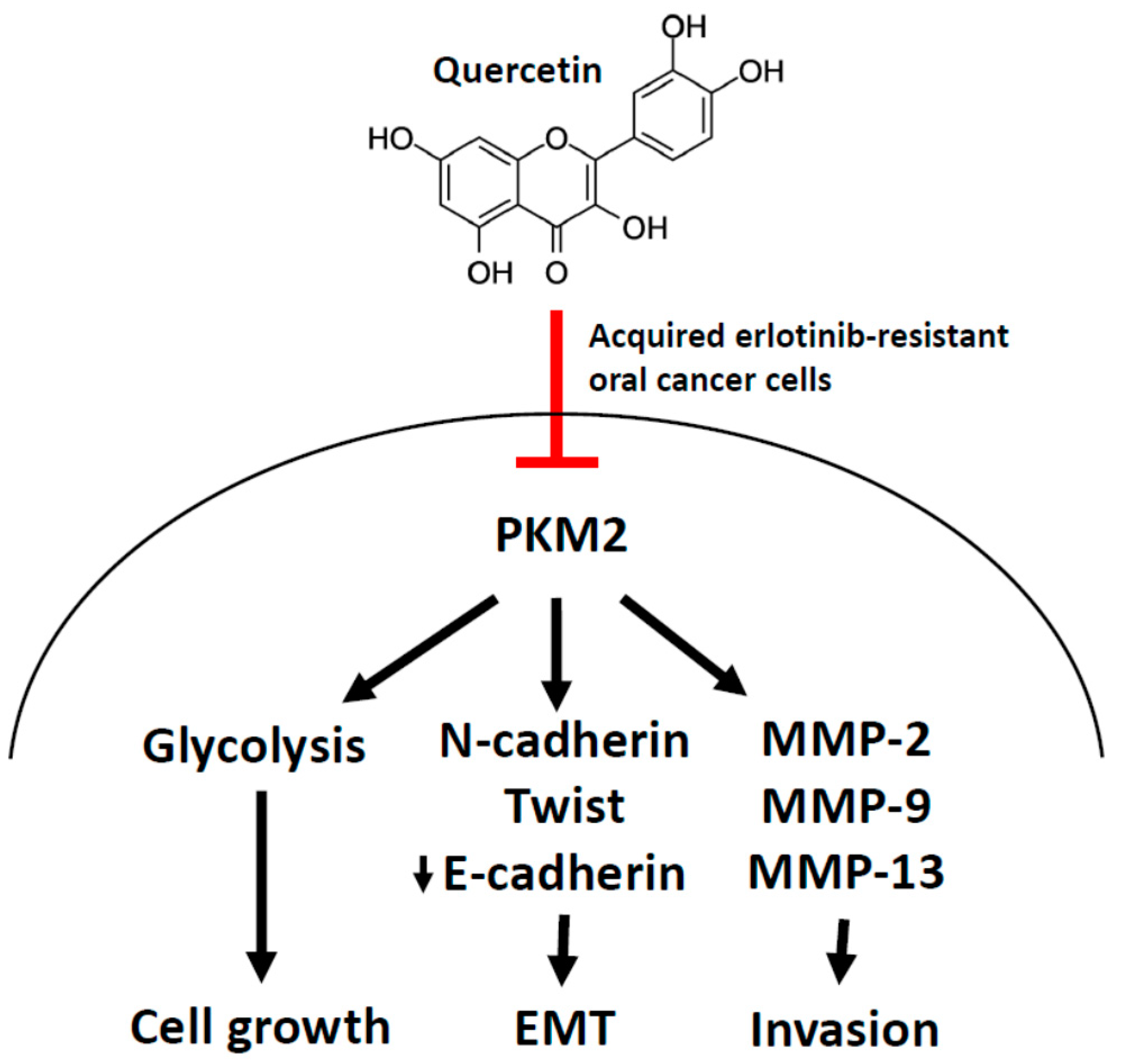 Cells 12 00179 g008 Cells 12 00179 g008