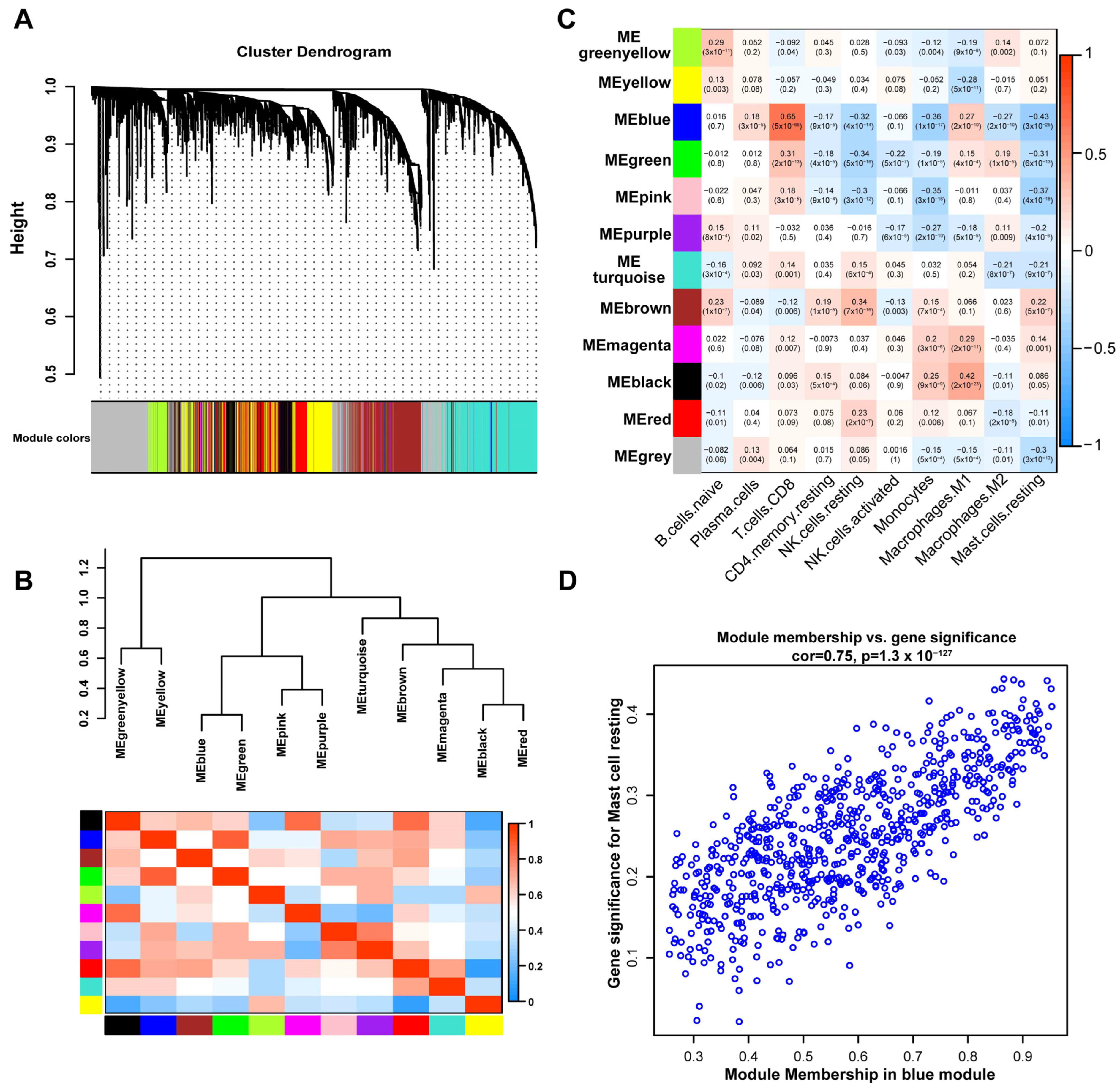 Cells 12 00180 g004 Cells 12 00180 g004