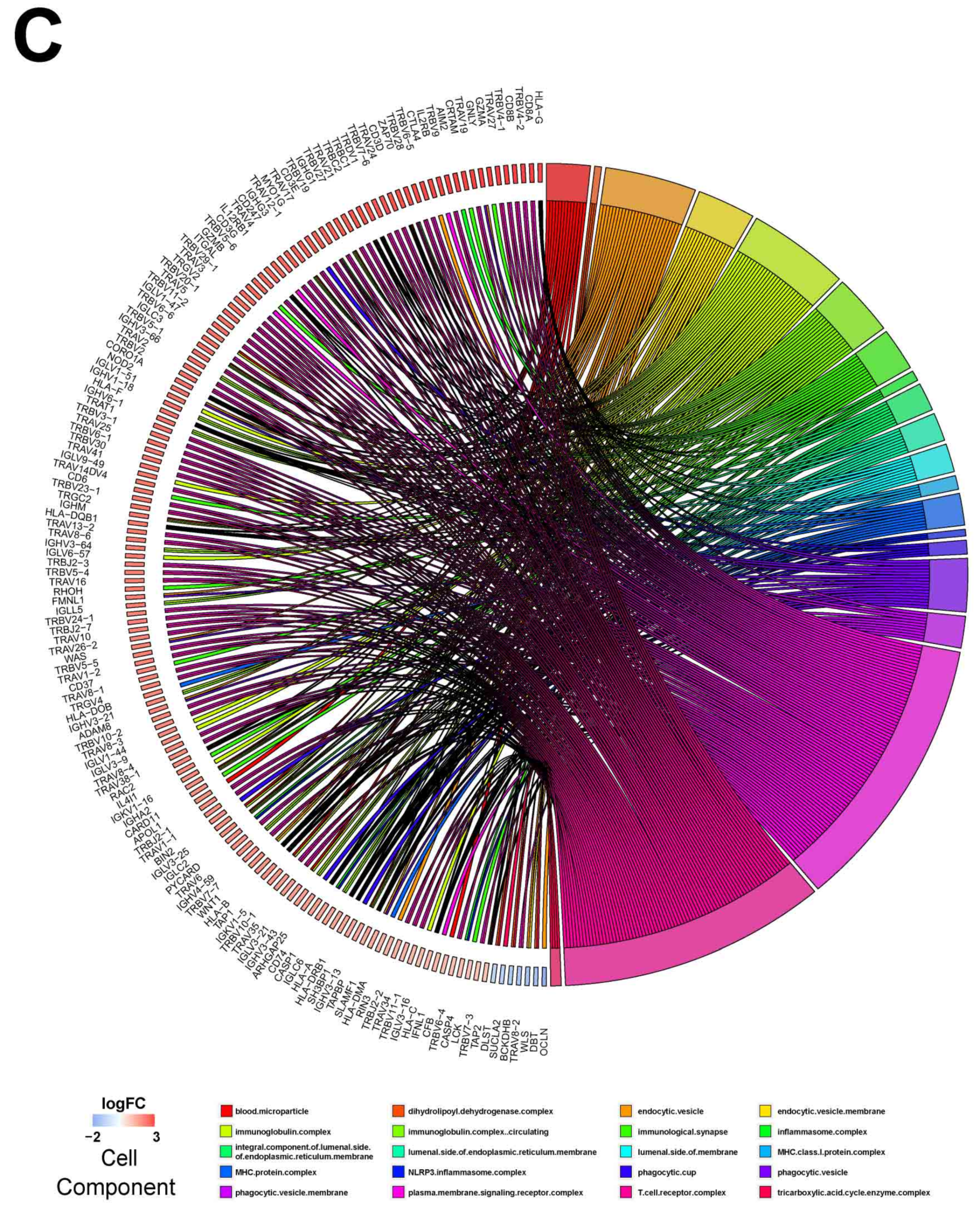 Cells 12 00180 g005c Cells 12 00180 g005c