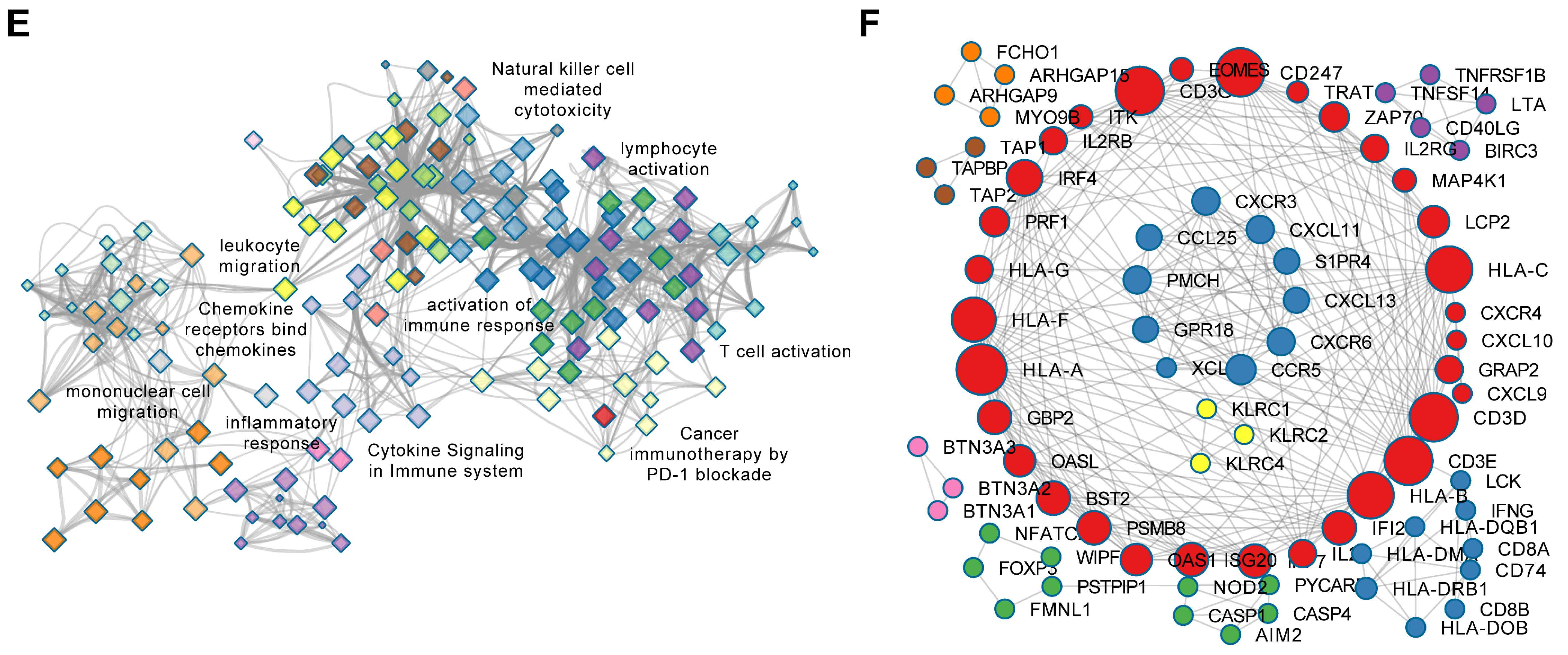 Cells 12 00180 g005e Cells 12 00180 g005e