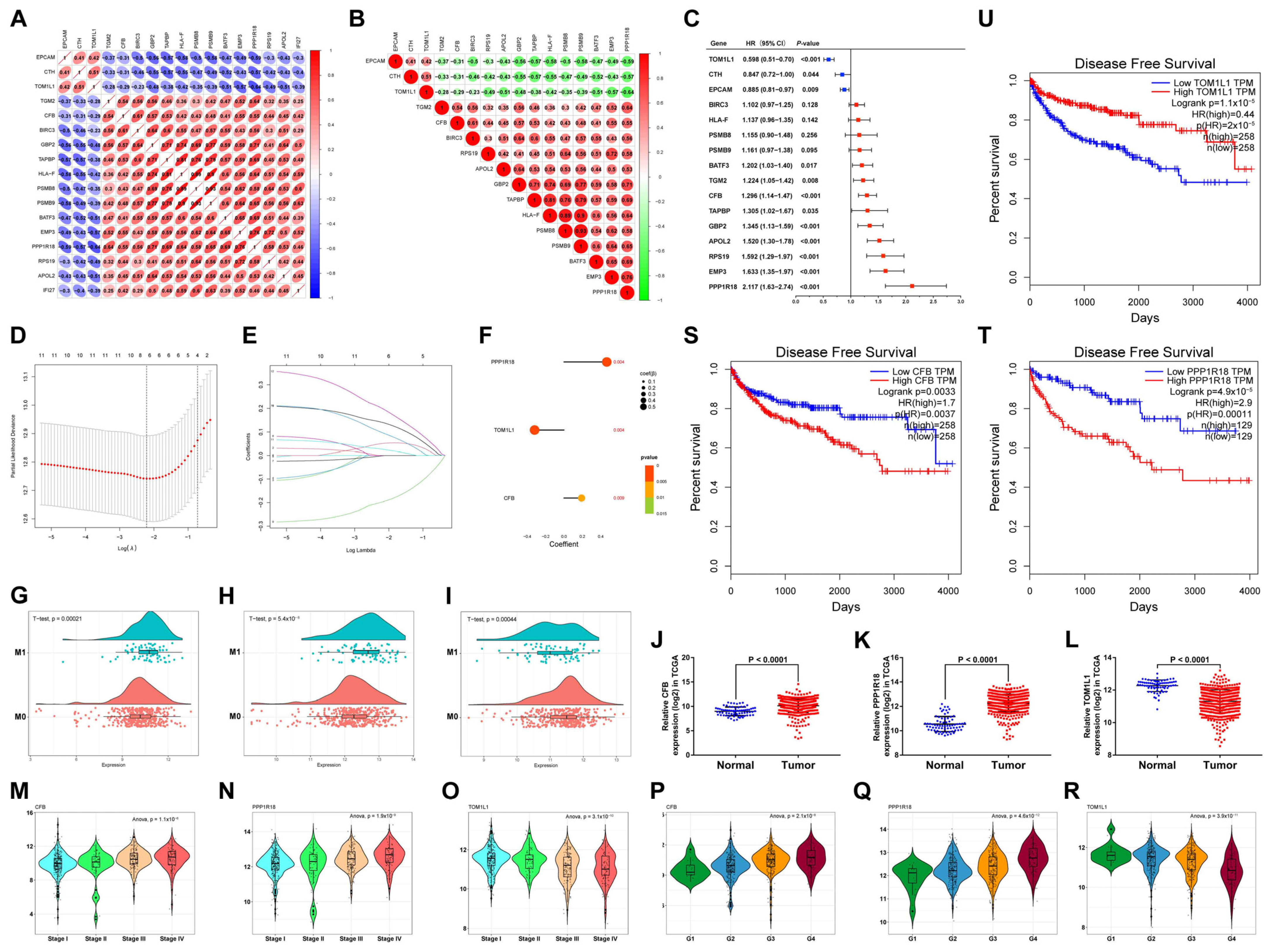 Cells 12 00180 g007 Cells 12 00180 g007