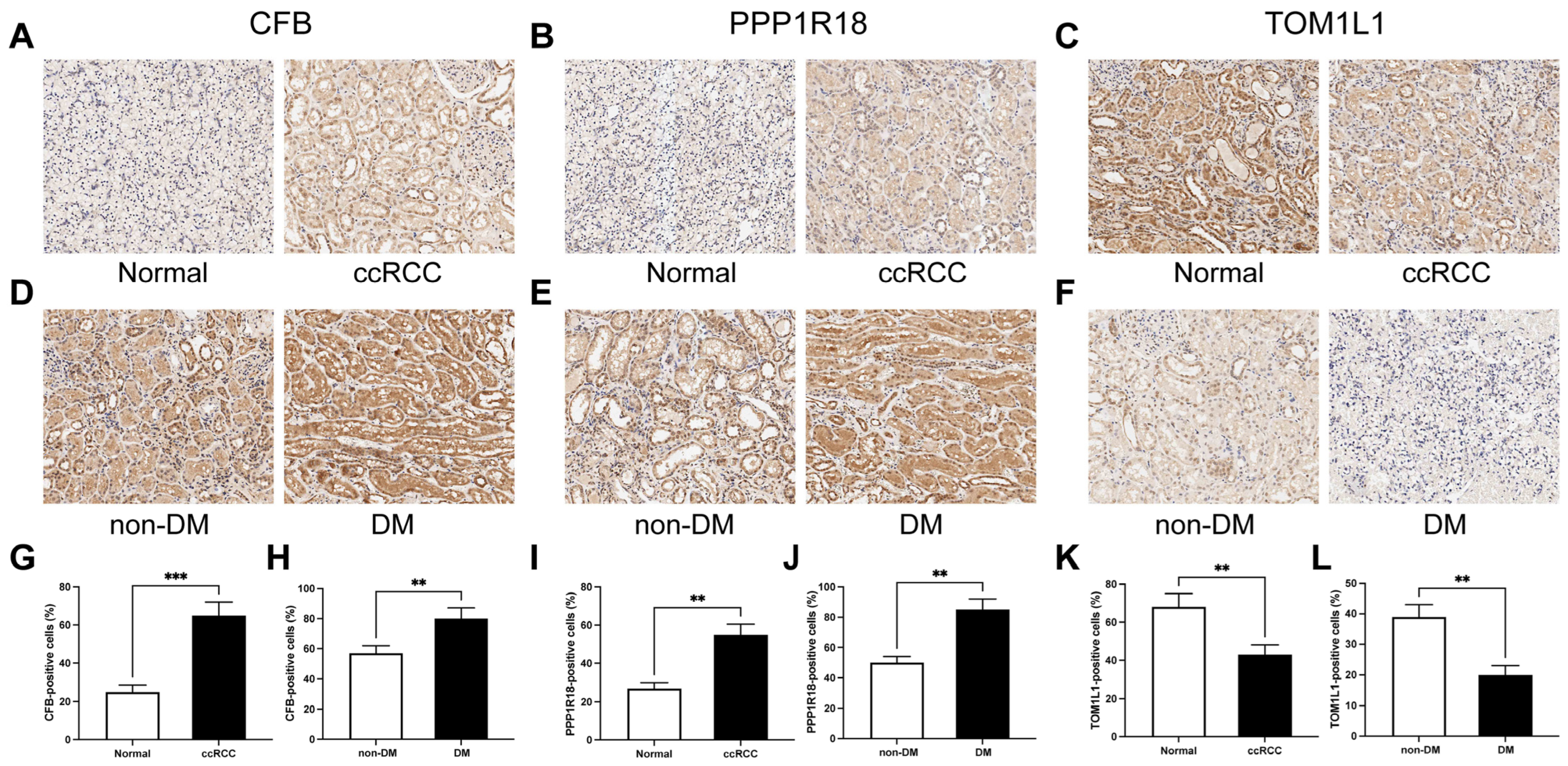 Cells 12 00180 g012 Cells 12 00180 g012