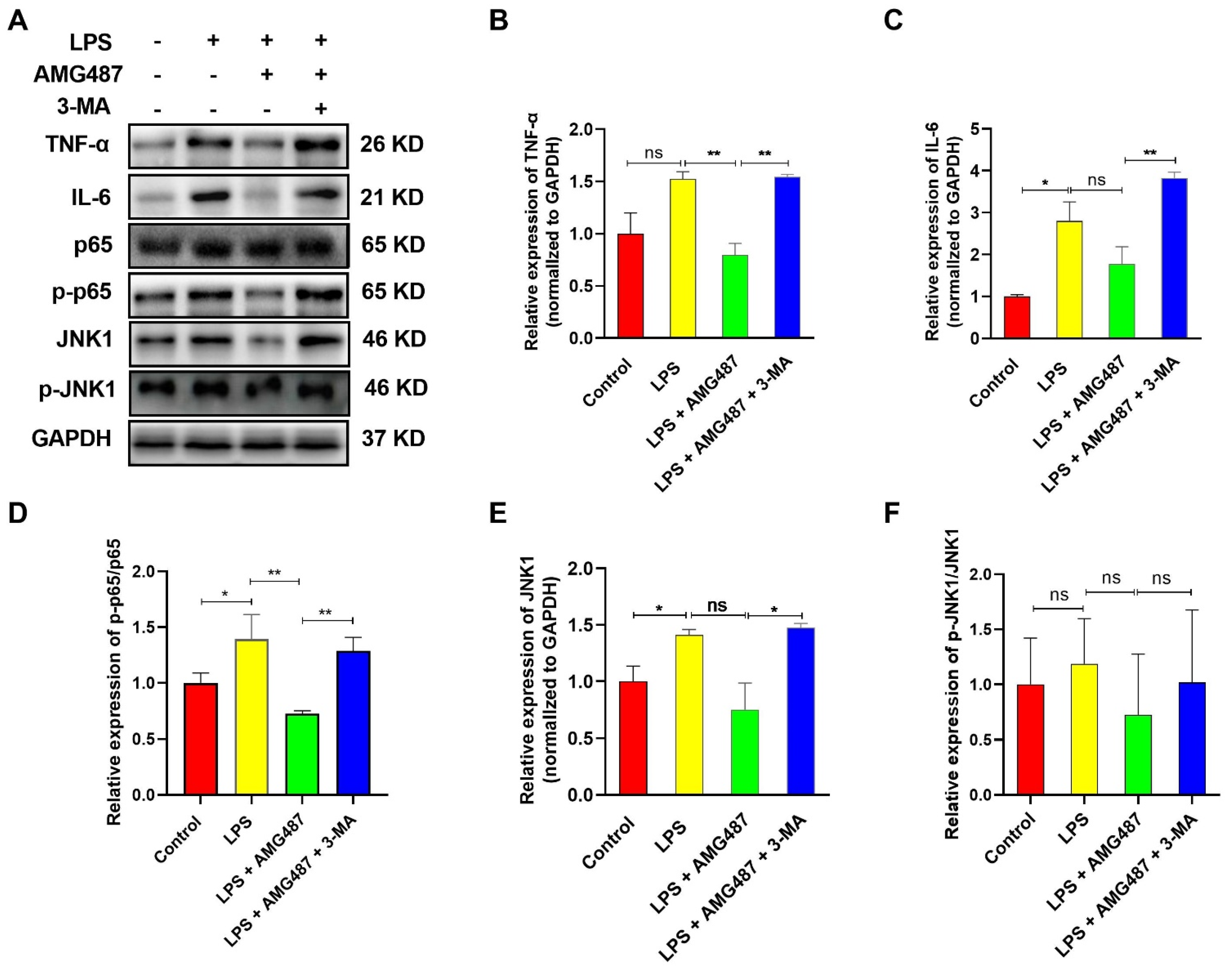 Cells 12 00182 g005 Cells 12 00182 g005