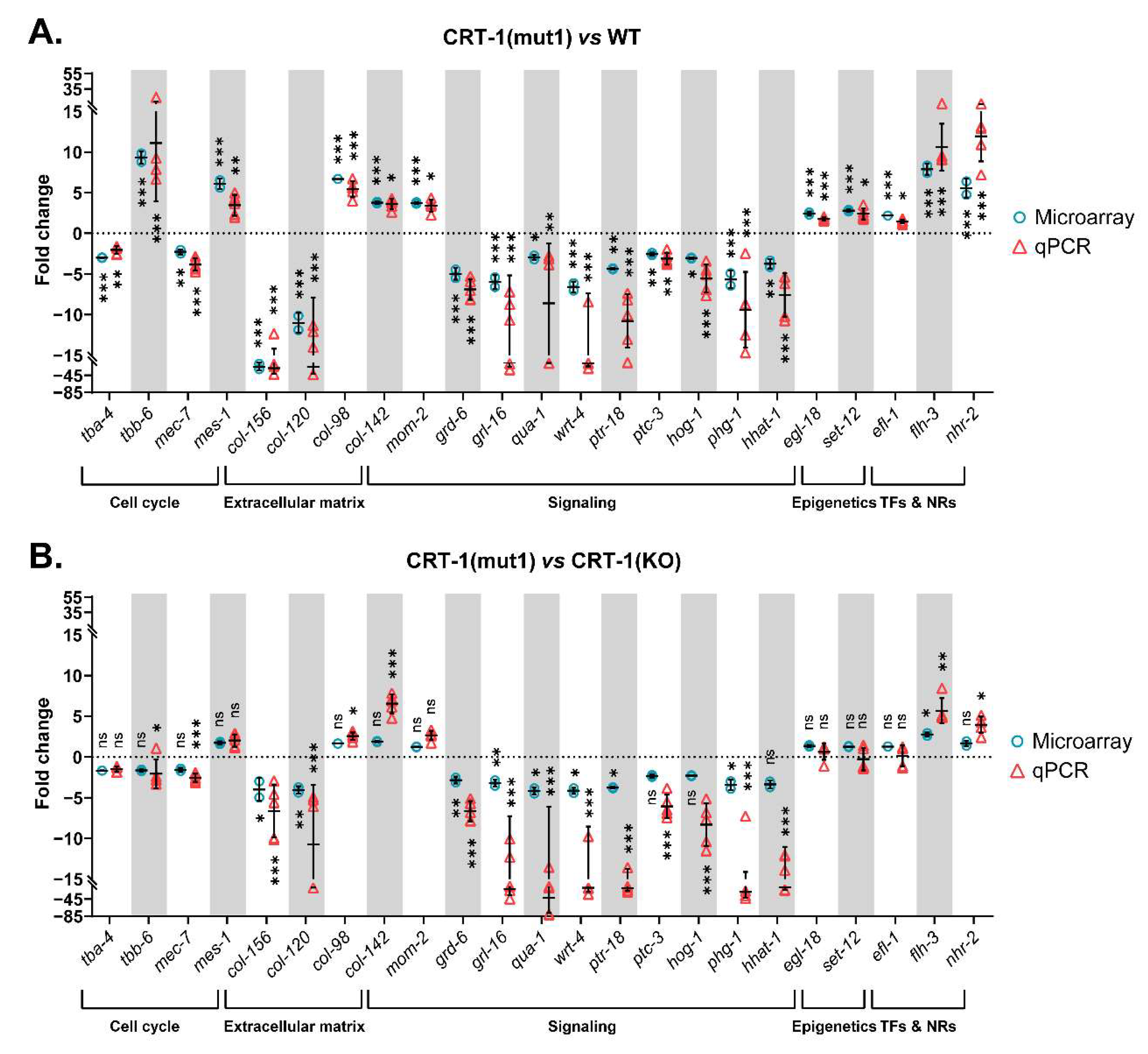 Cells 12 00186 g003 Cells 12 00186 g003