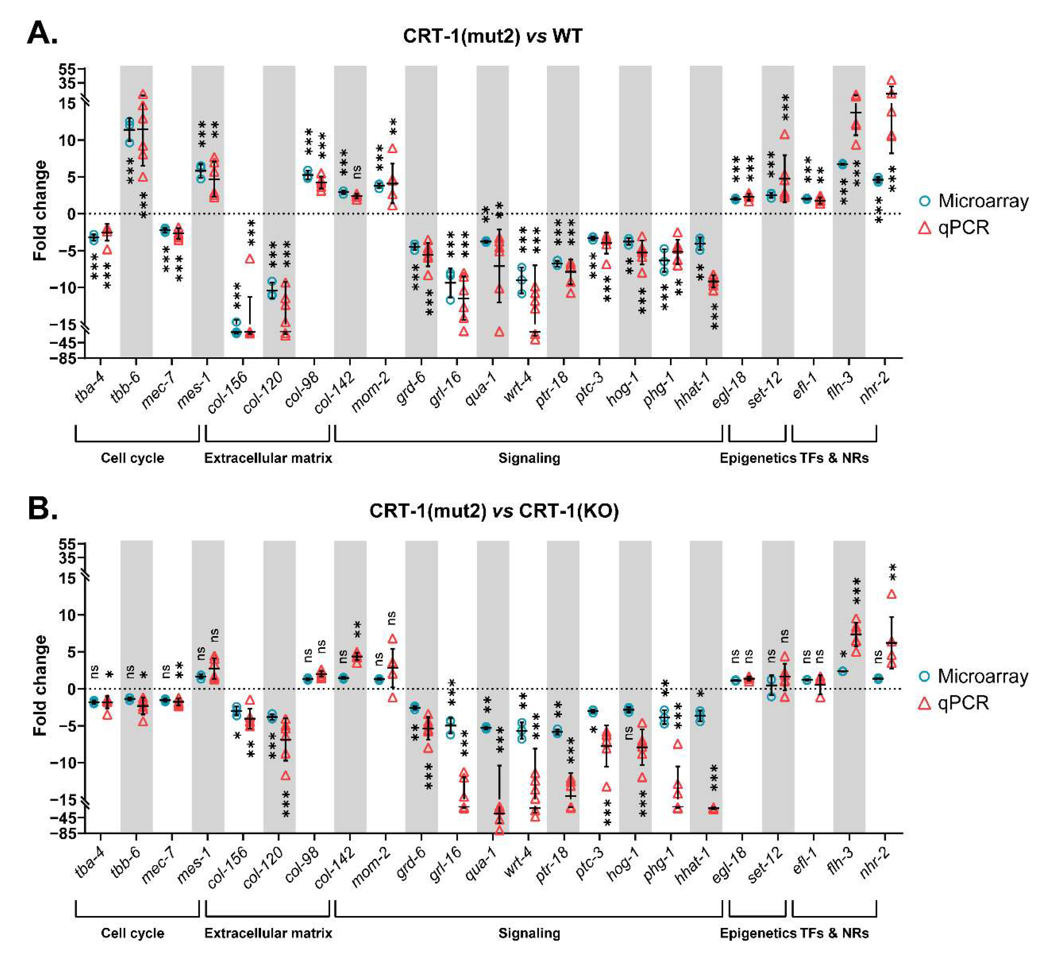 Cells 12 00186 g004 Cells 12 00186 g004