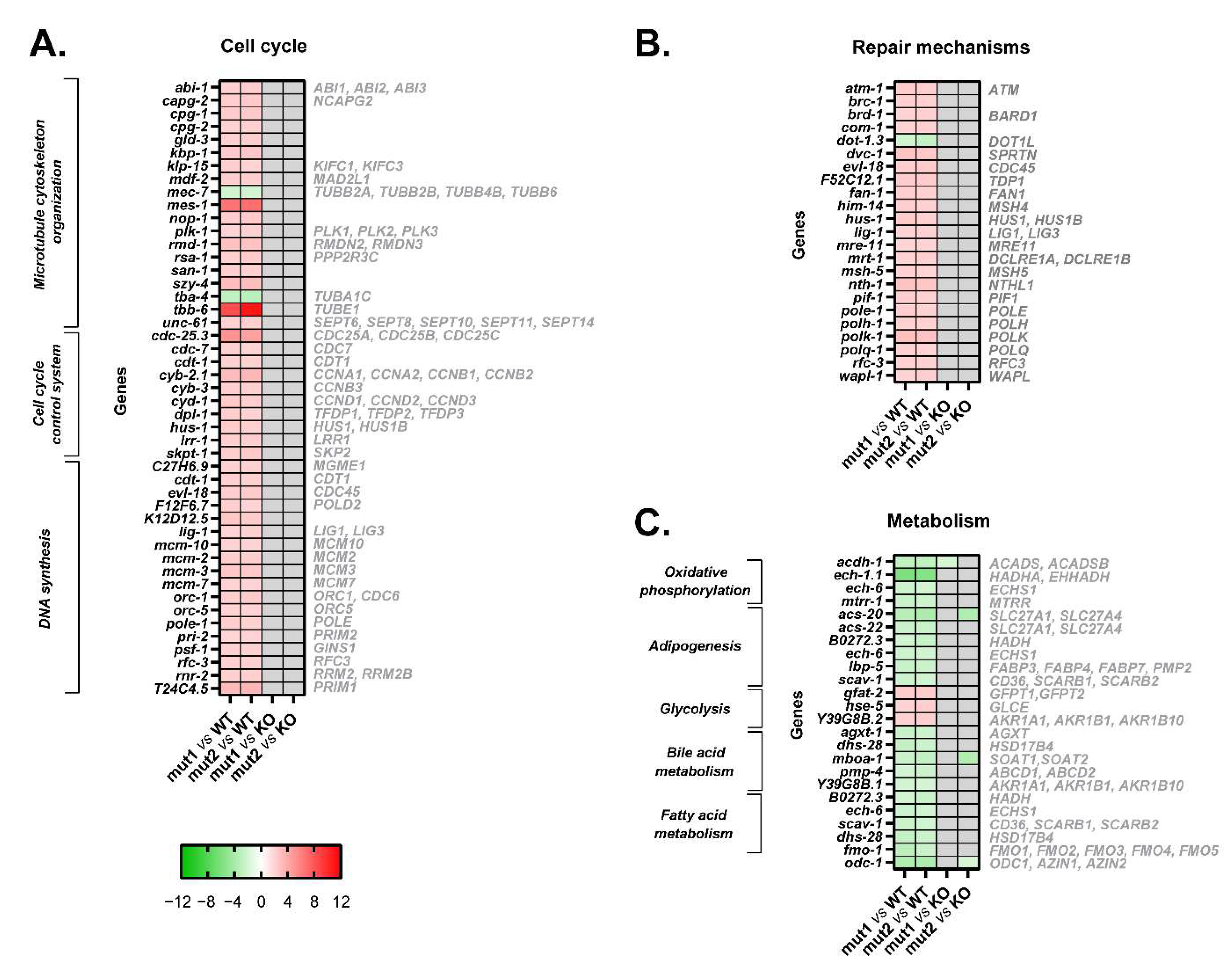 Cells 12 00186 g005 Cells 12 00186 g005