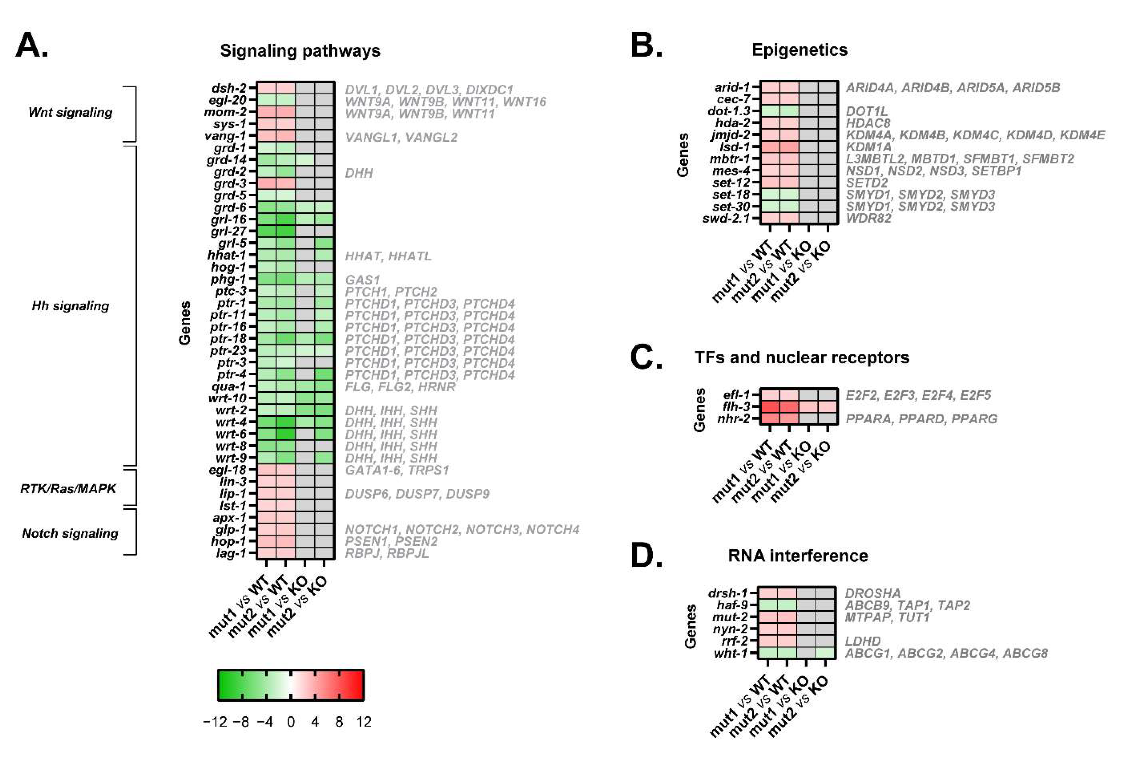 Cells 12 00186 g007 Cells 12 00186 g007
