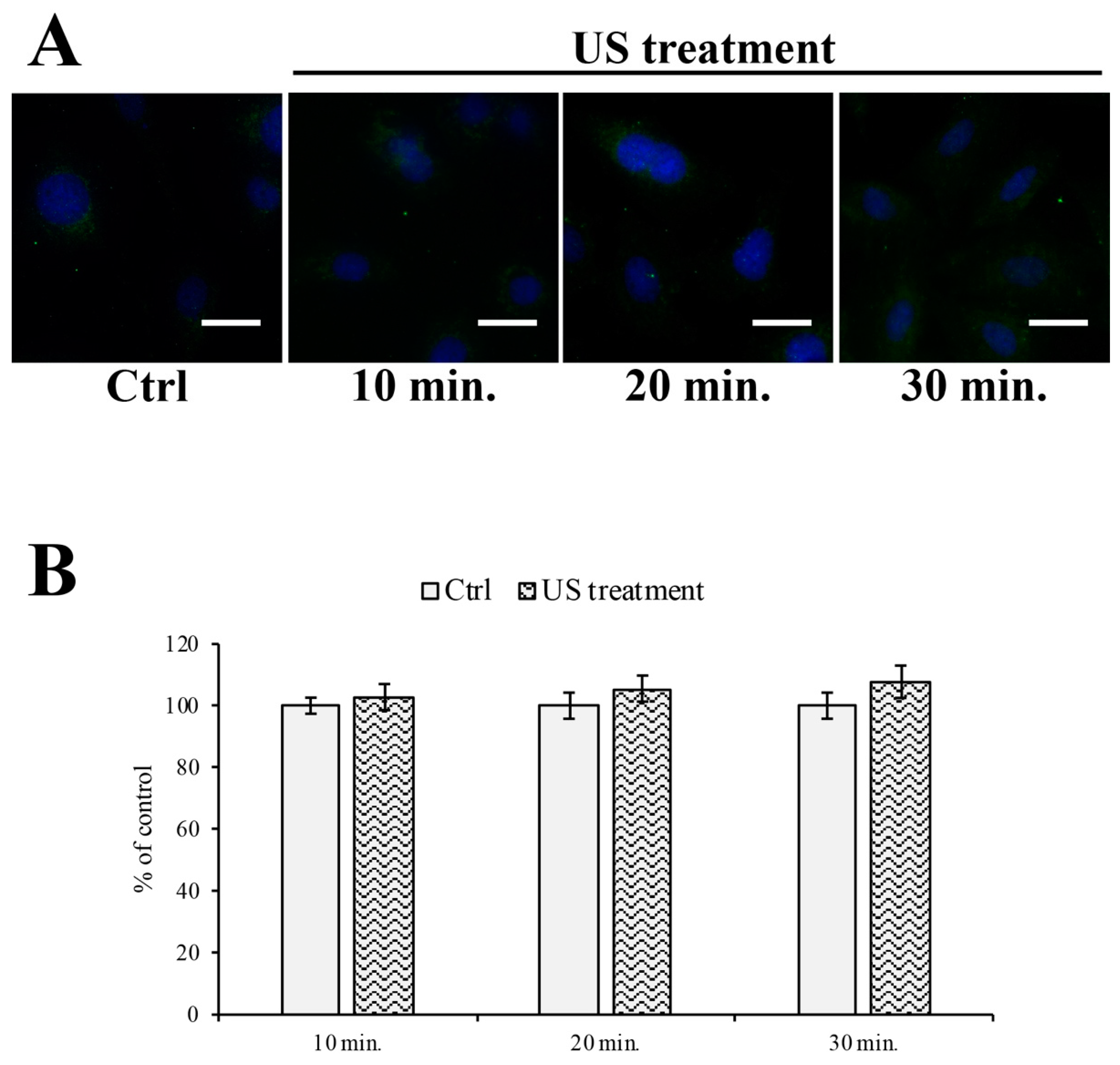 Cells 12 00192 g004 Cells 12 00192 g004