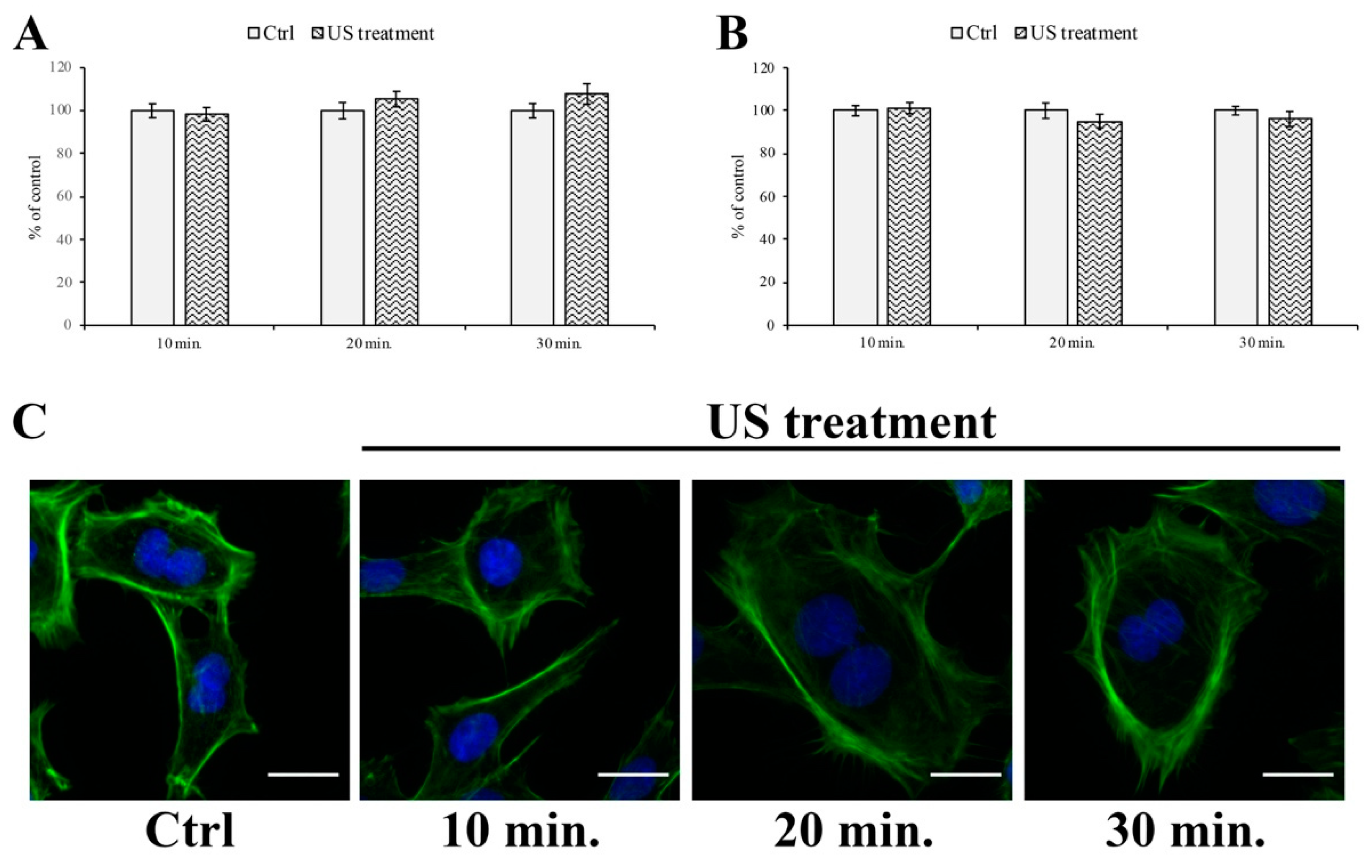 Cells 12 00192 g006 Cells 12 00192 g006