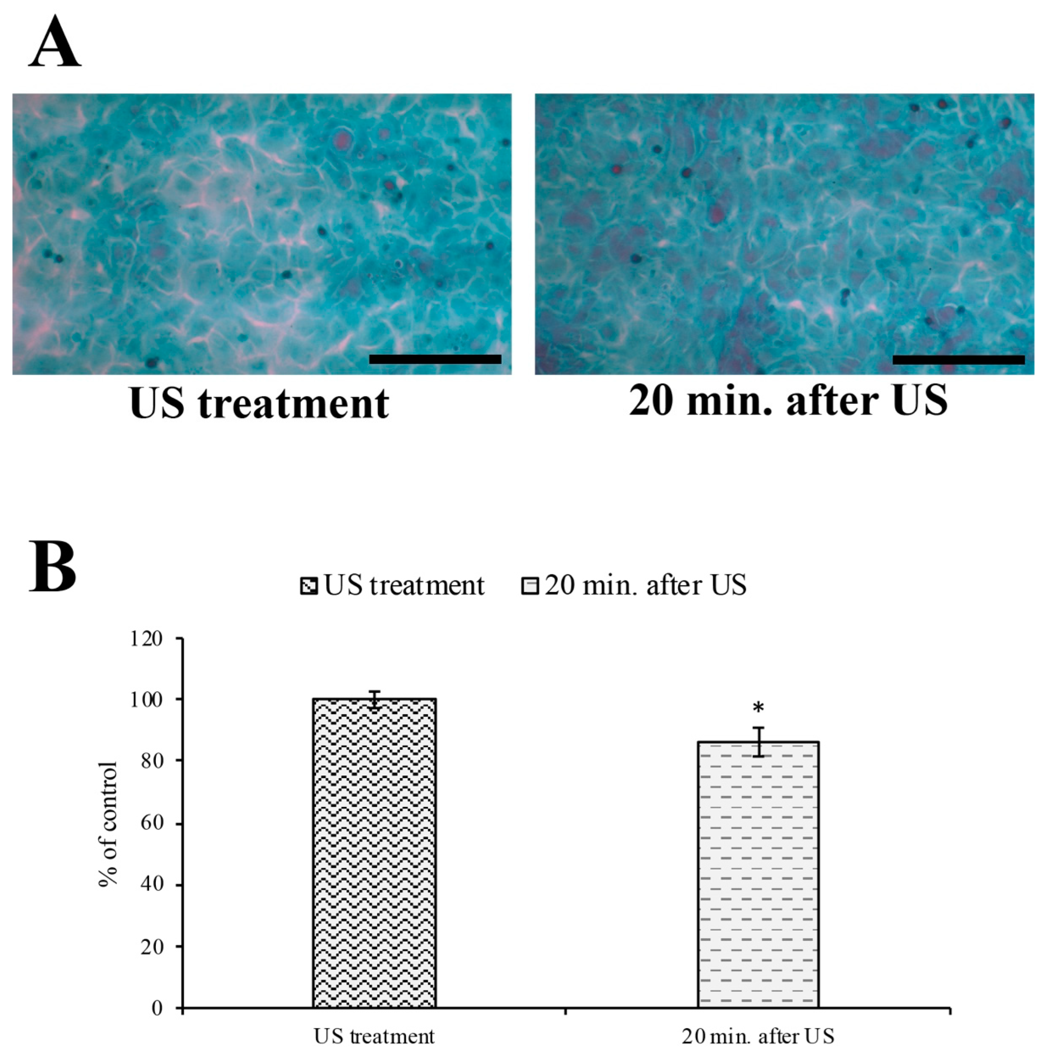 Cells 12 00192 g009 Cells 12 00192 g009