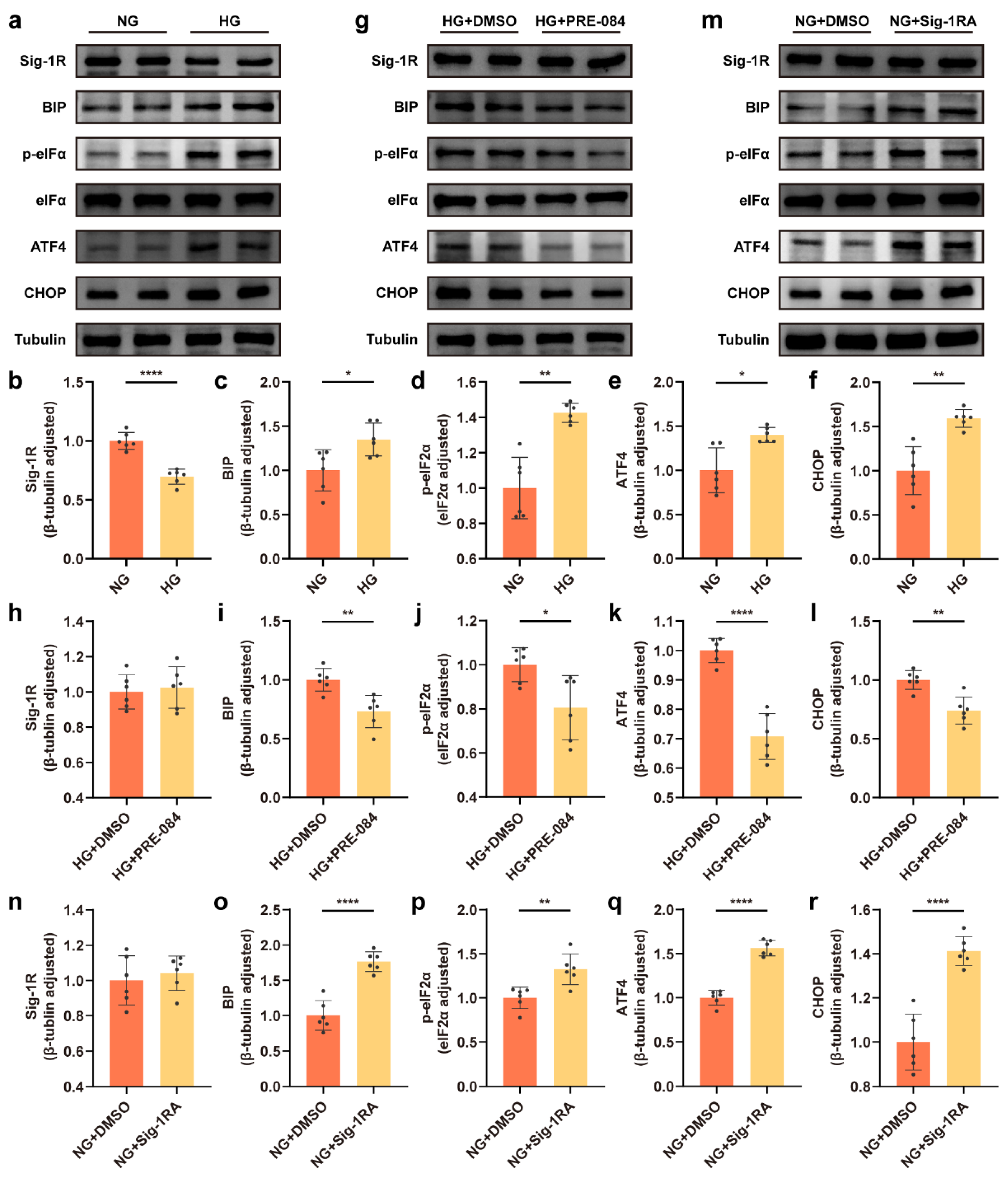 Cells 12 00197 g001 Cells 12 00197 g001