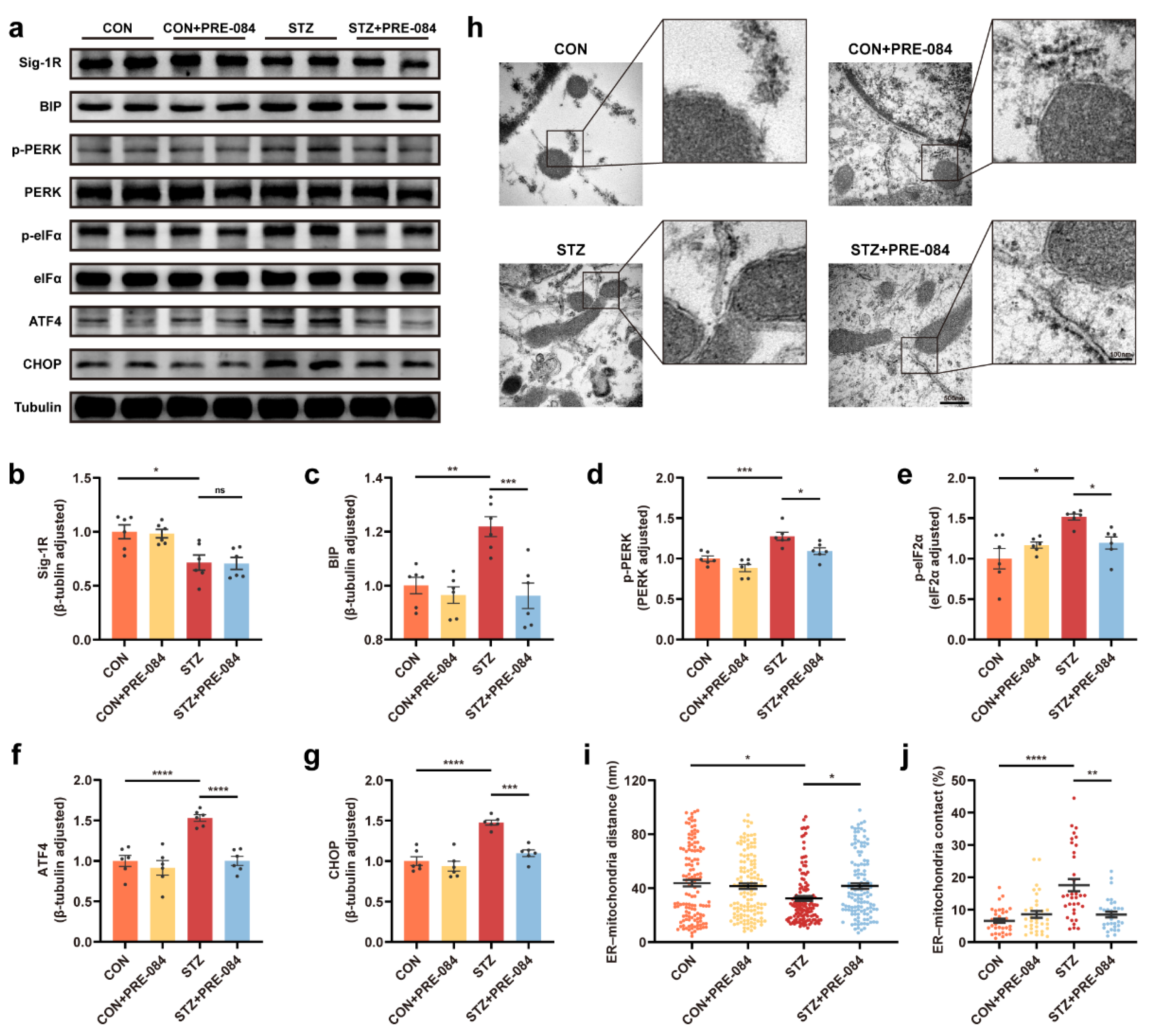 Cells 12 00197 g002 Cells 12 00197 g002