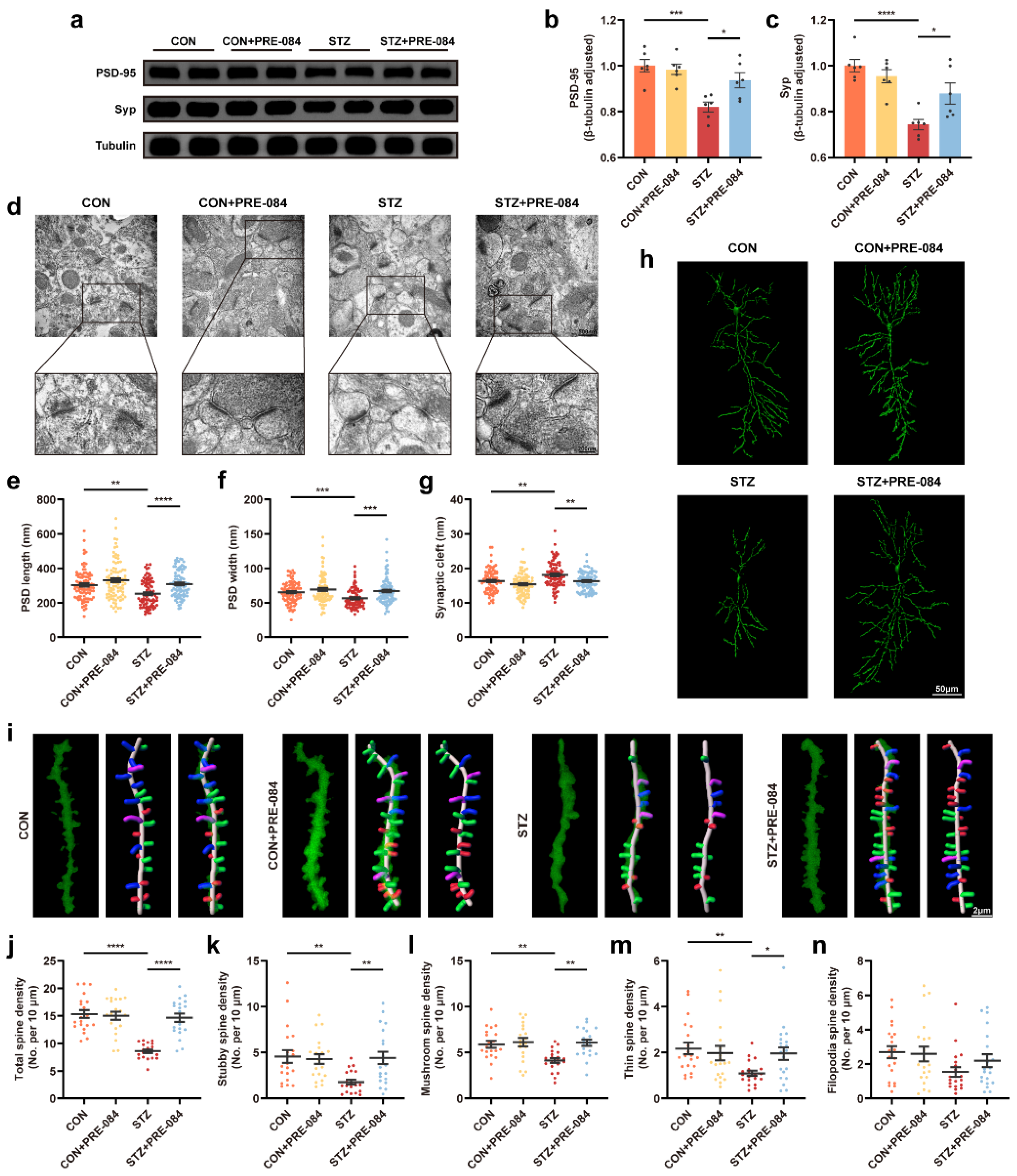 Cells 12 00197 g003 Cells 12 00197 g003