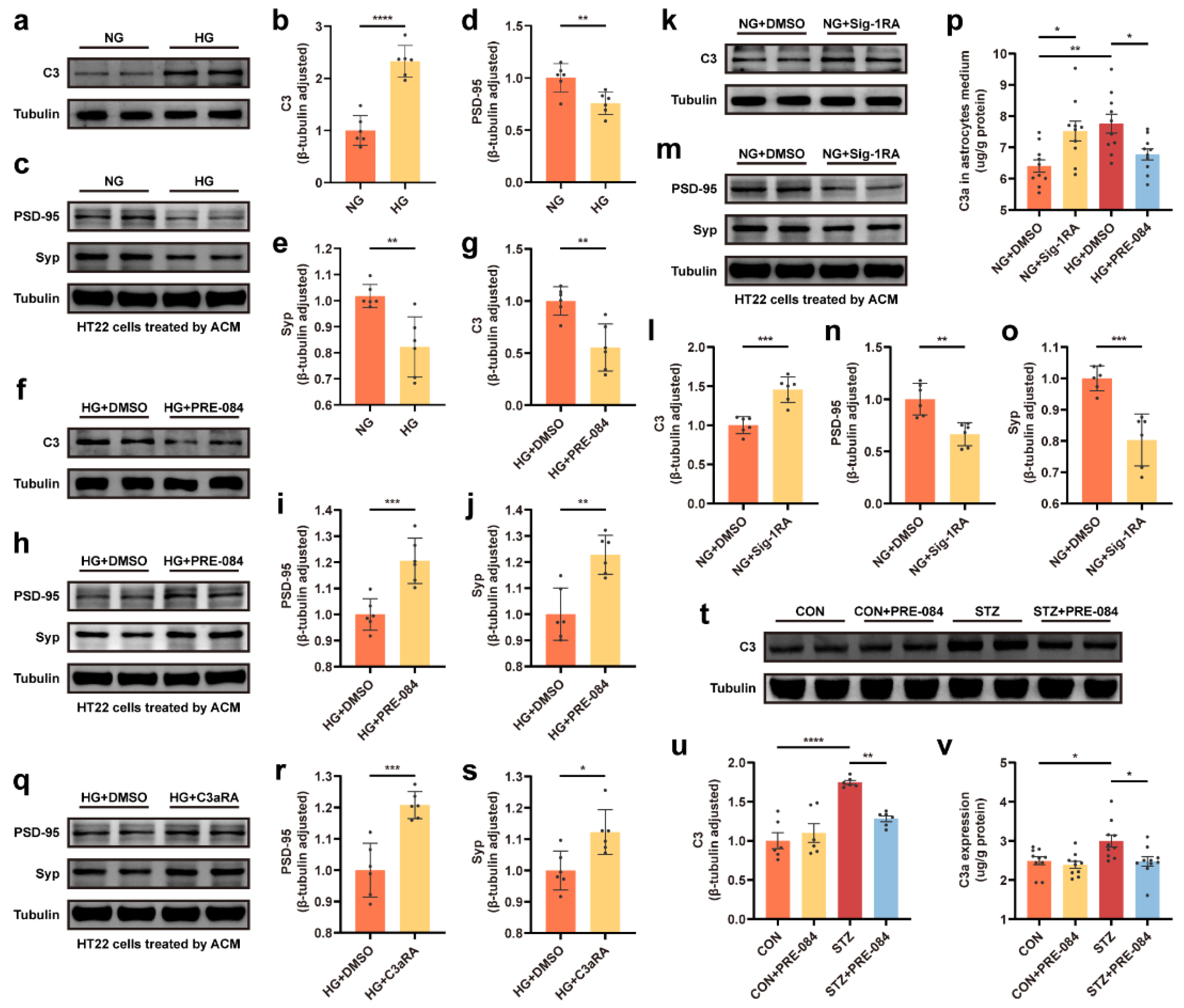 Cells 12 00197 g005 Cells 12 00197 g005