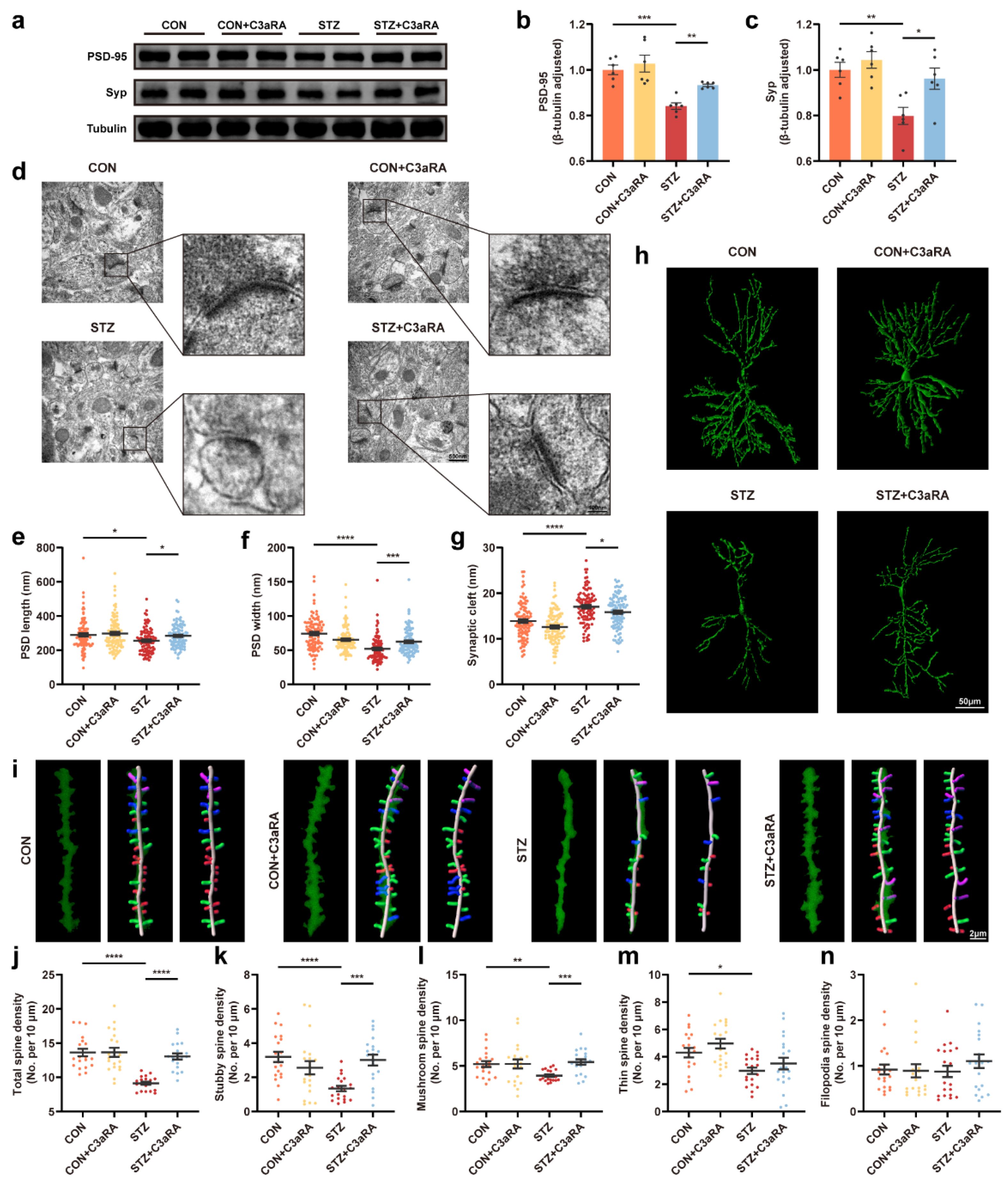 Cells 12 00197 g006 Cells 12 00197 g006