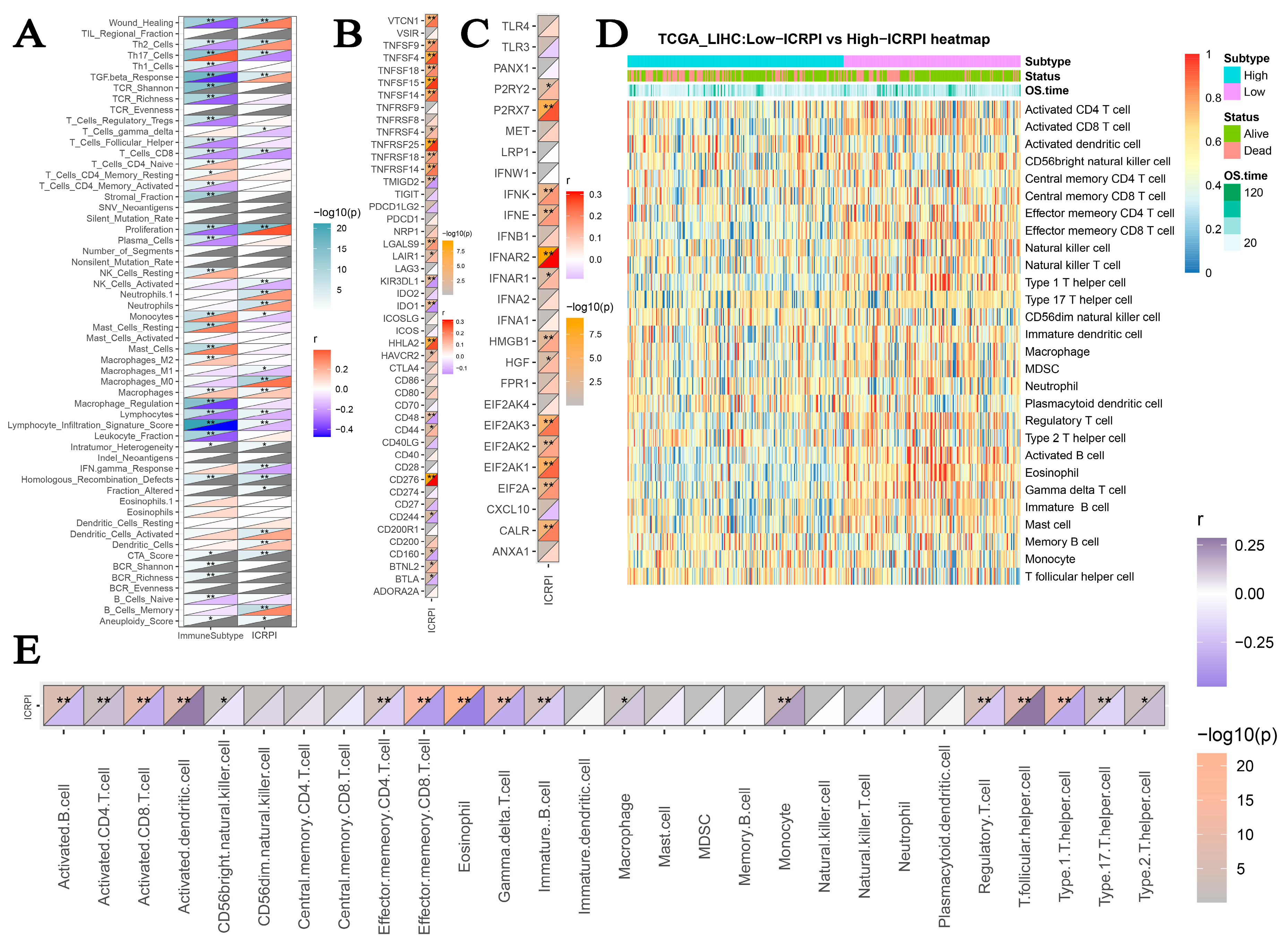 Cells 12 00202 g006 Cells 12 00202 g006