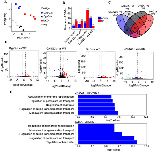 https://www.mdpi.com/cells/cells-12-00204/article_deploy/html/images/cells-12-00204-g004-550.jpg