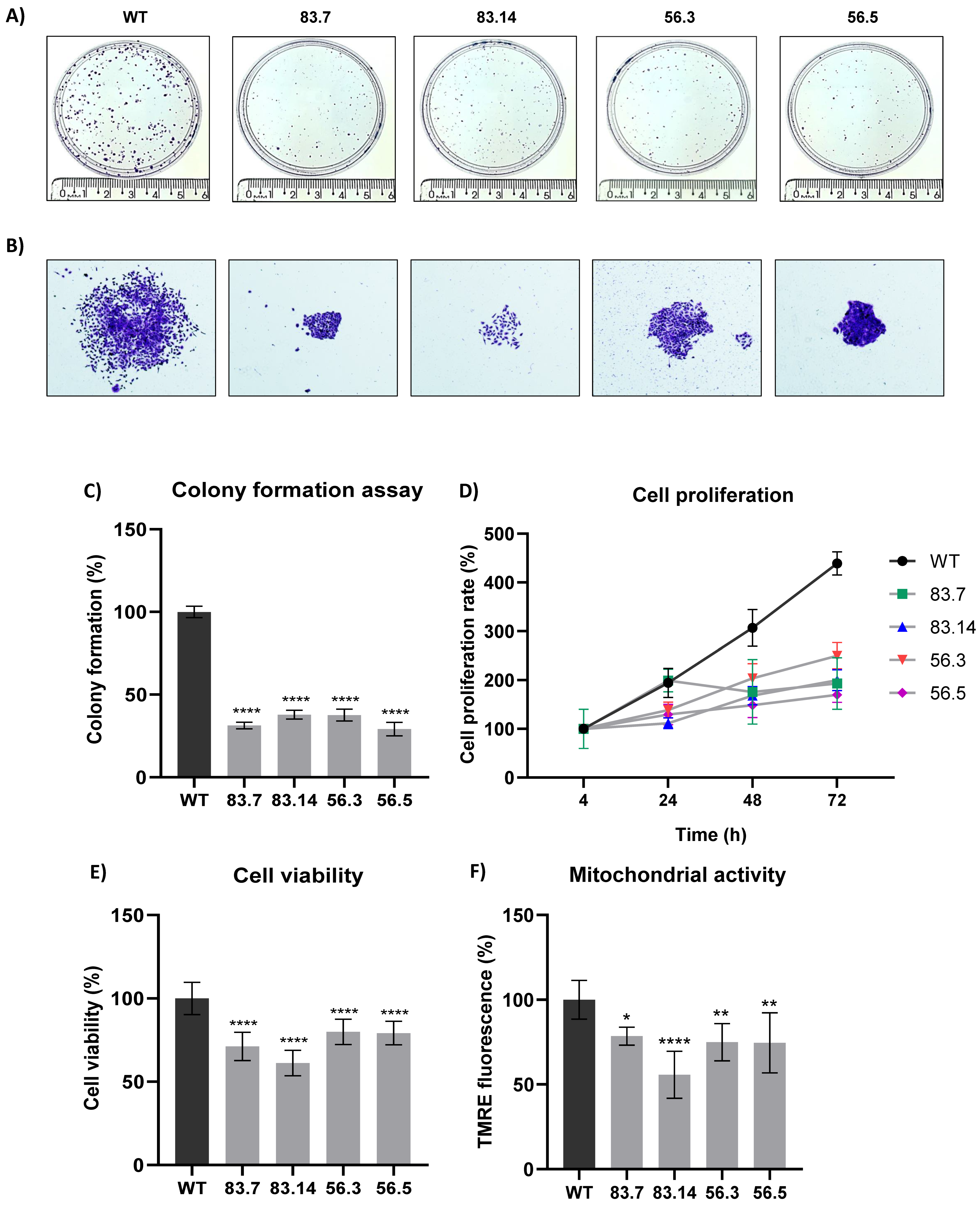 Cells 12 00256 g002 Cells 12 00256 g002