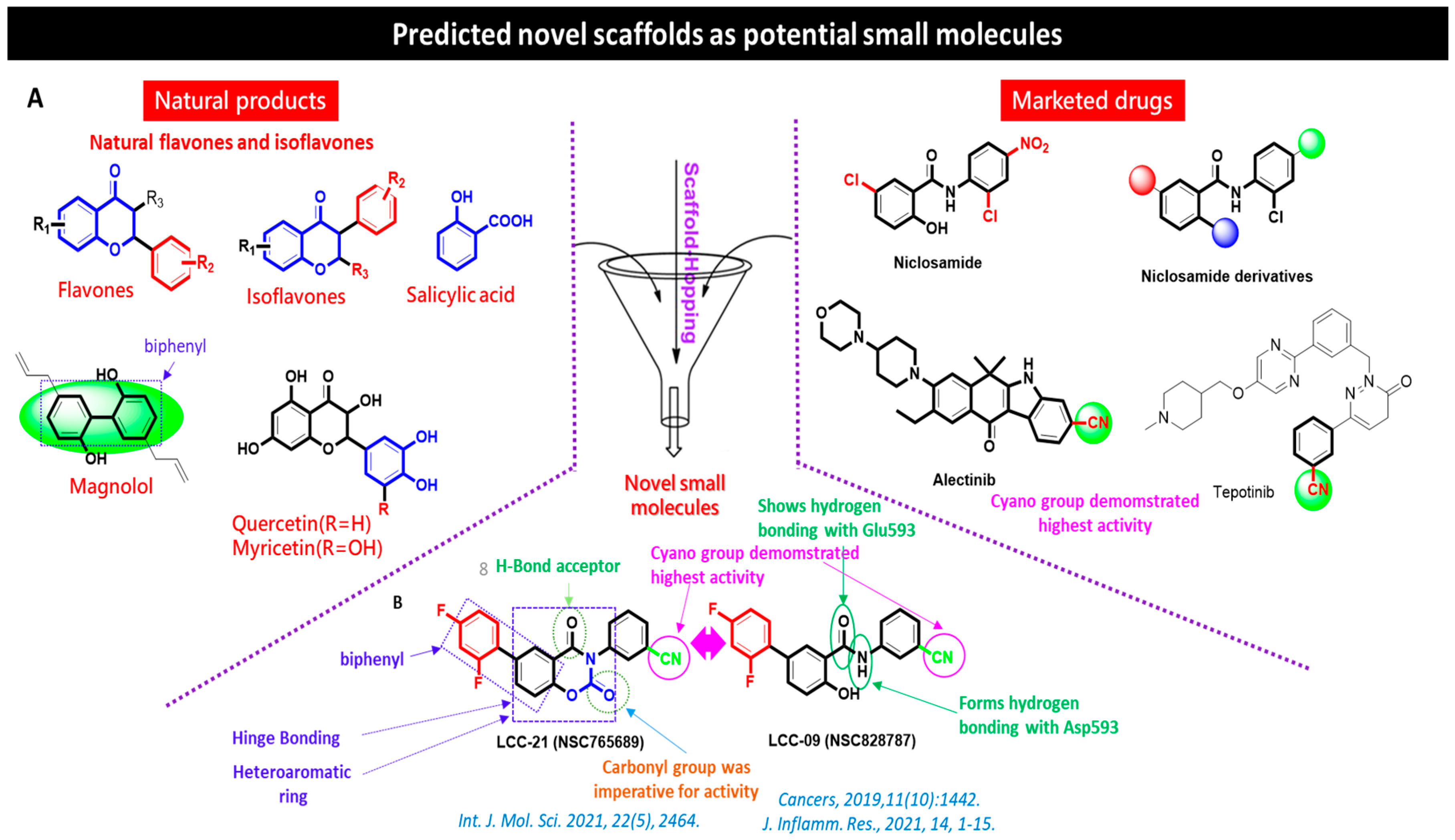 Cells 12 00266 g002 Cells 12 00266 g002