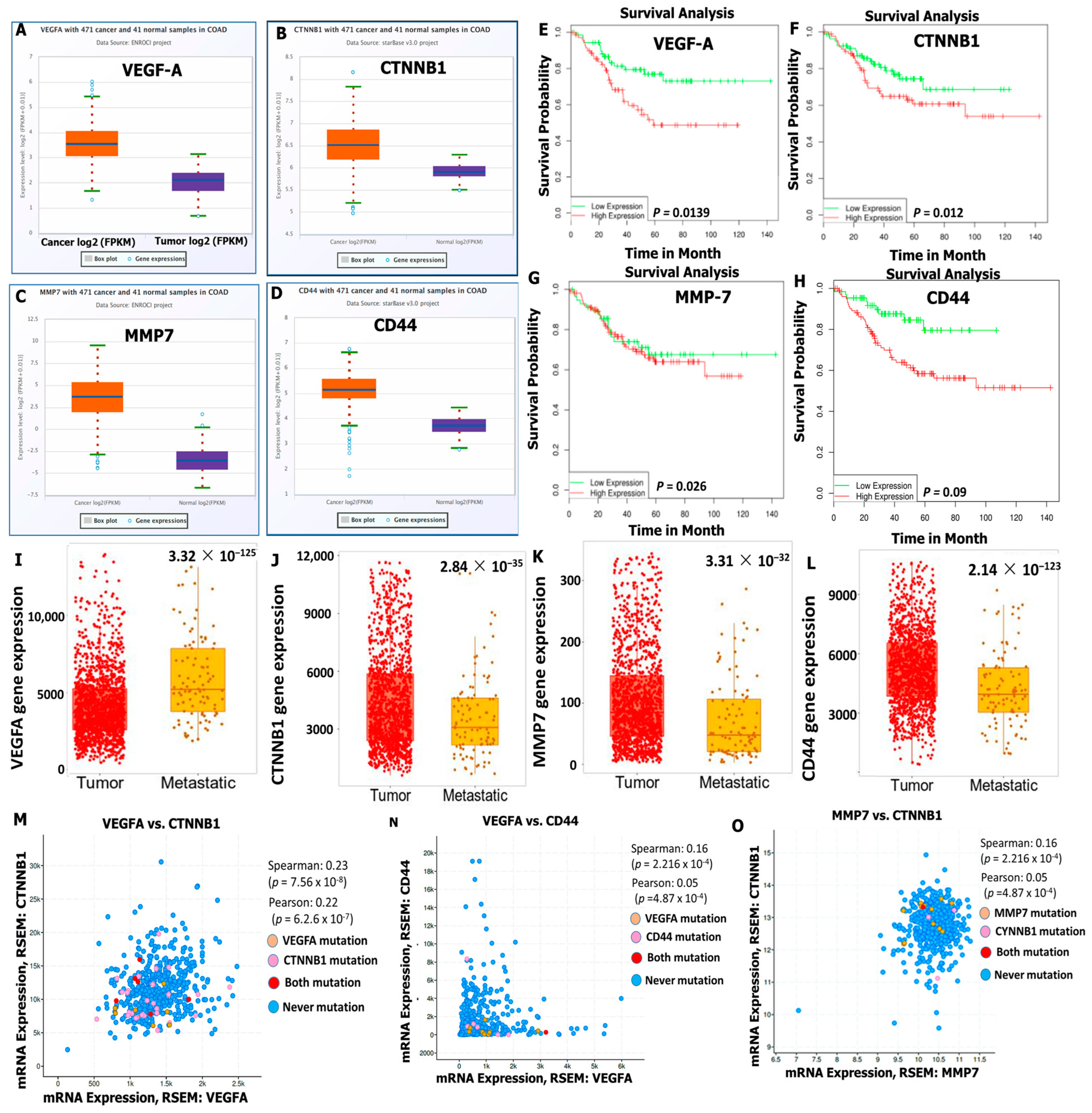 Cells 12 00266 g005 Cells 12 00266 g005