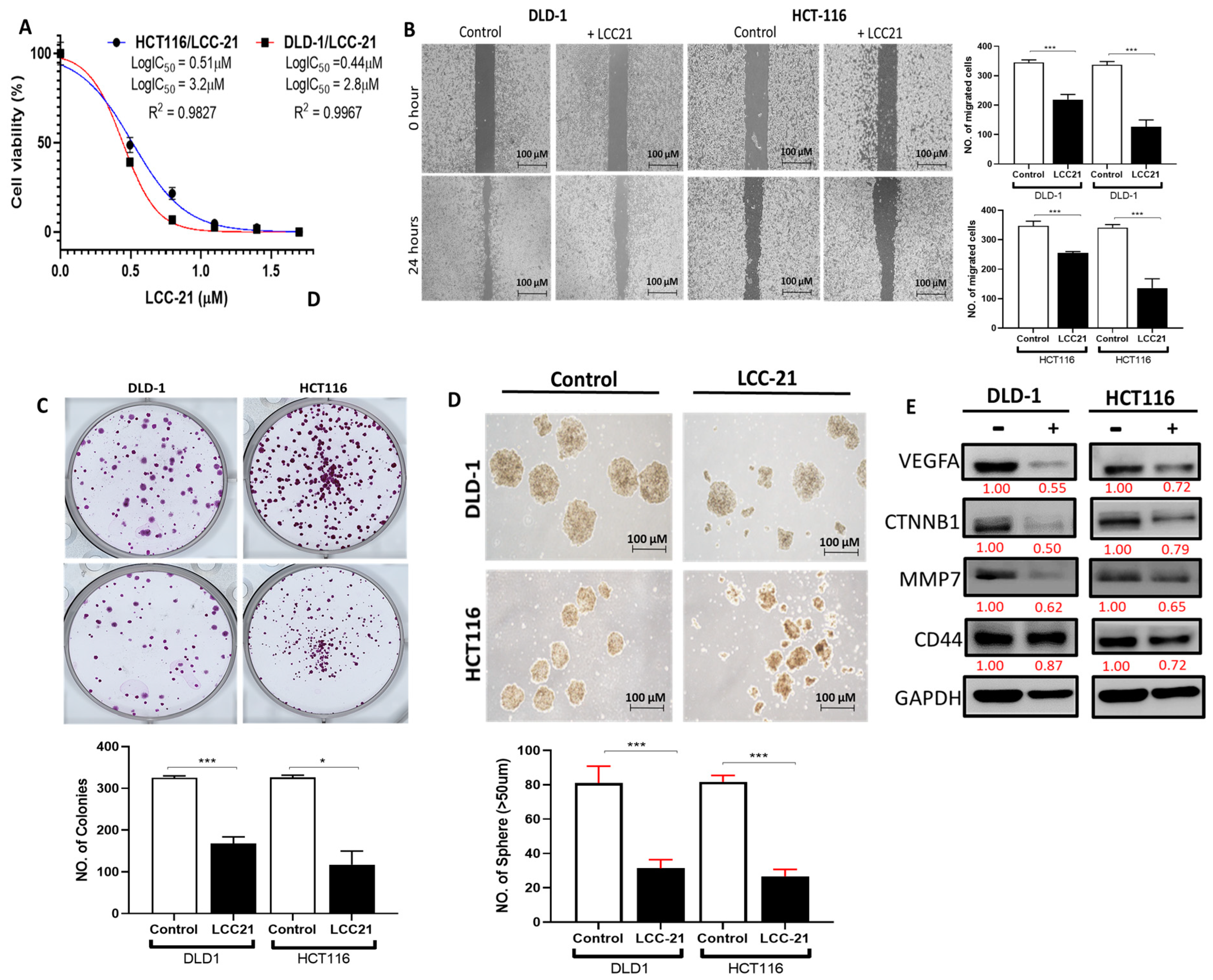Cells 12 00266 g014 Cells 12 00266 g014
