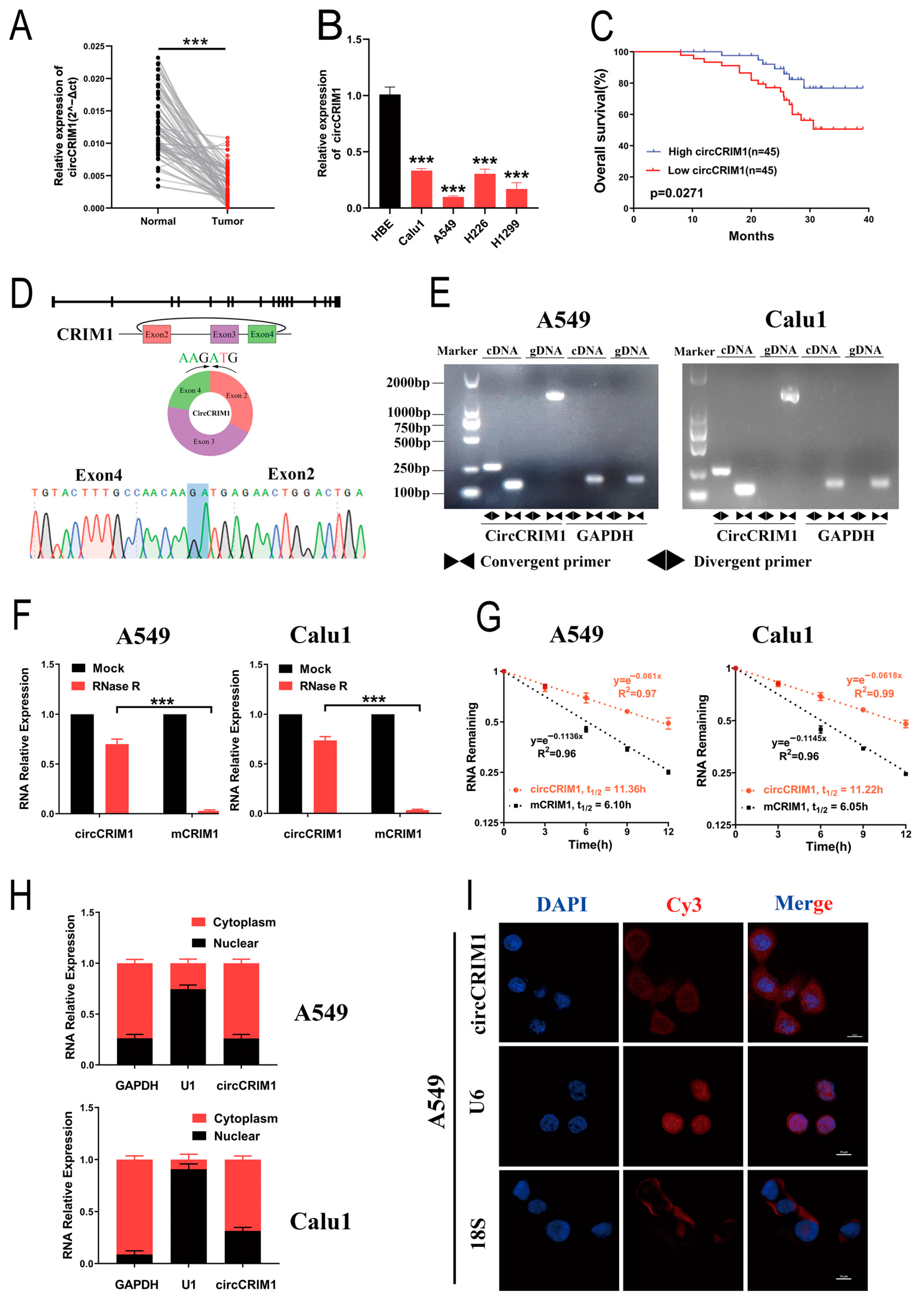 Cells 12 00273 g001 Cells 12 00273 g001