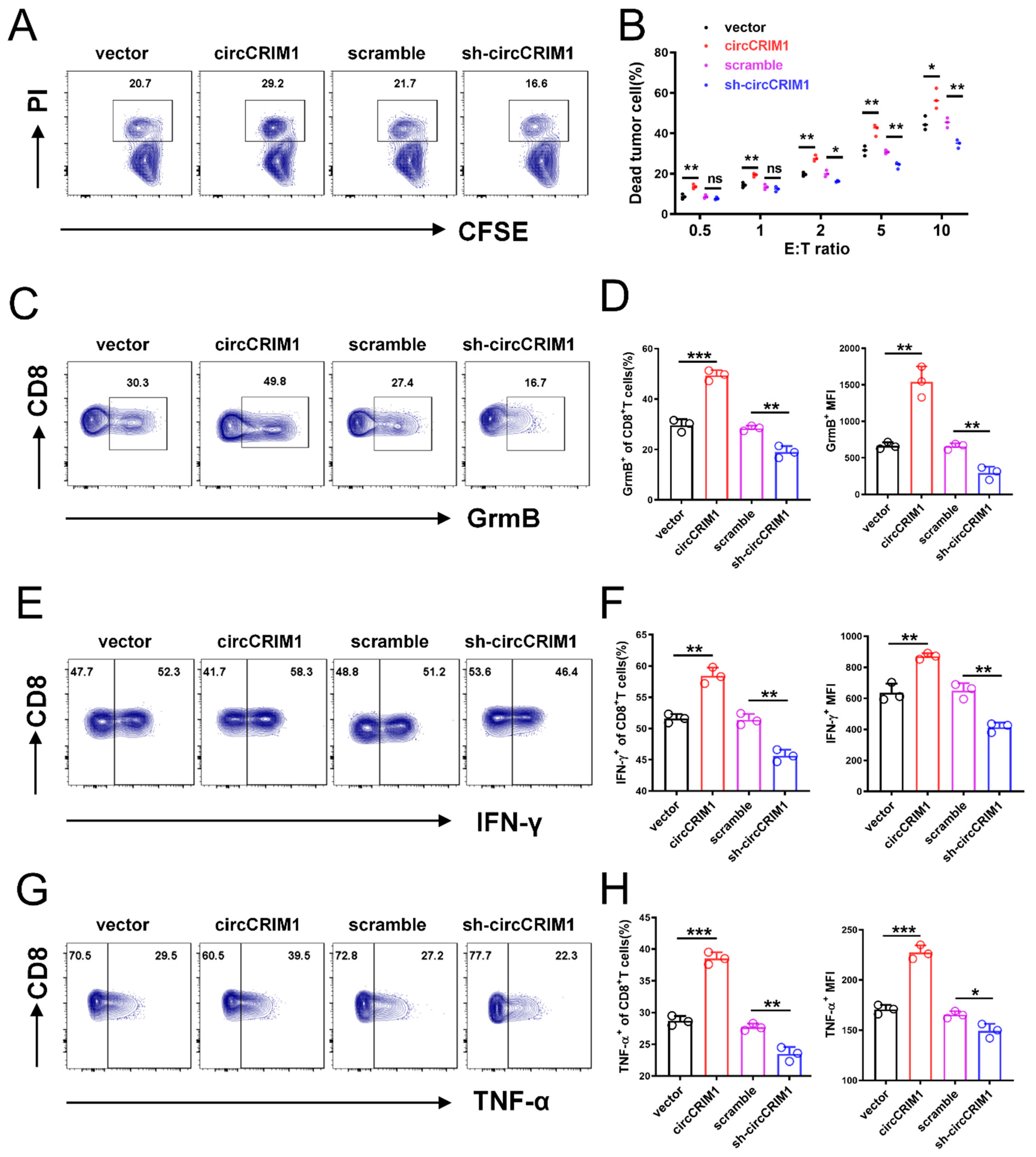 Cells 12 00273 g002 Cells 12 00273 g002