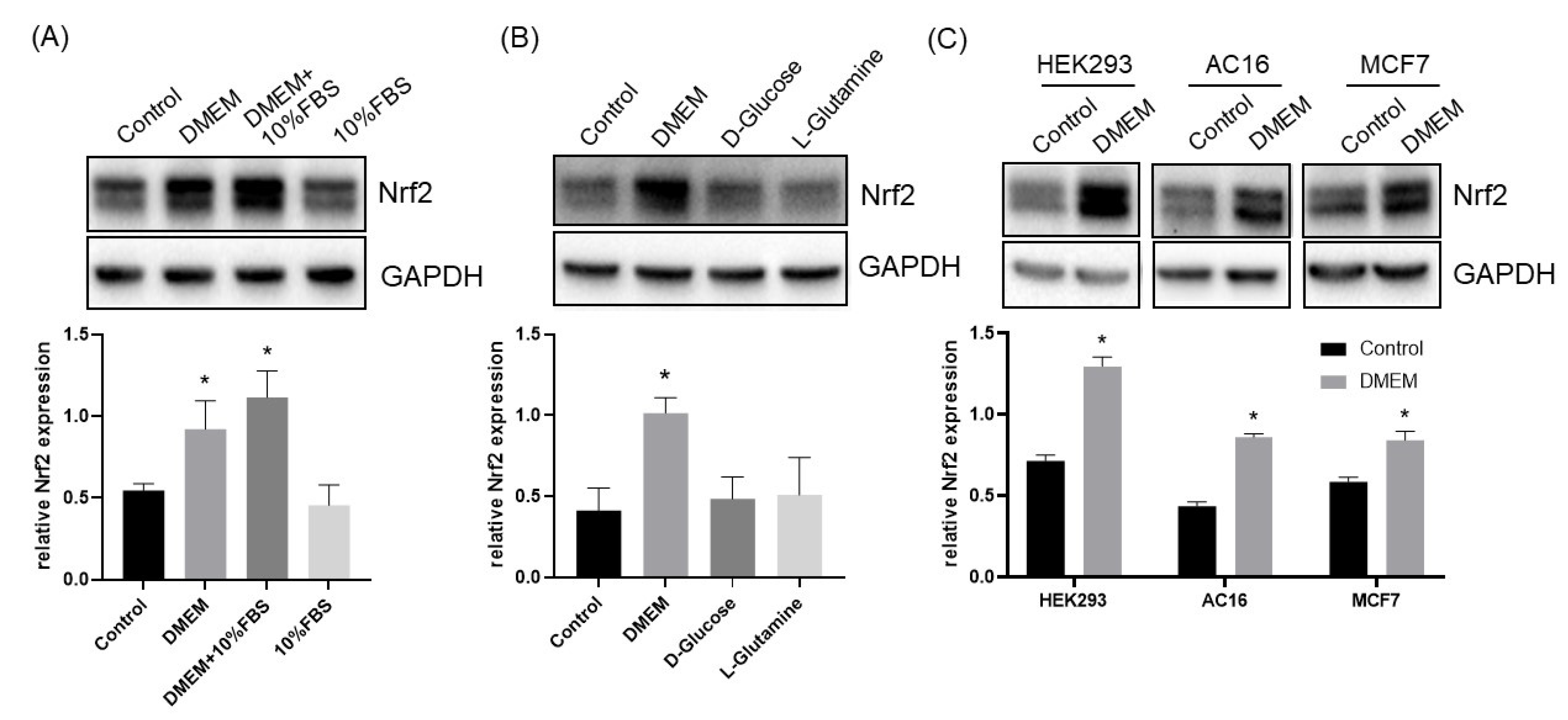 Cells 12 00291 g001 Cells 12 00291 g001