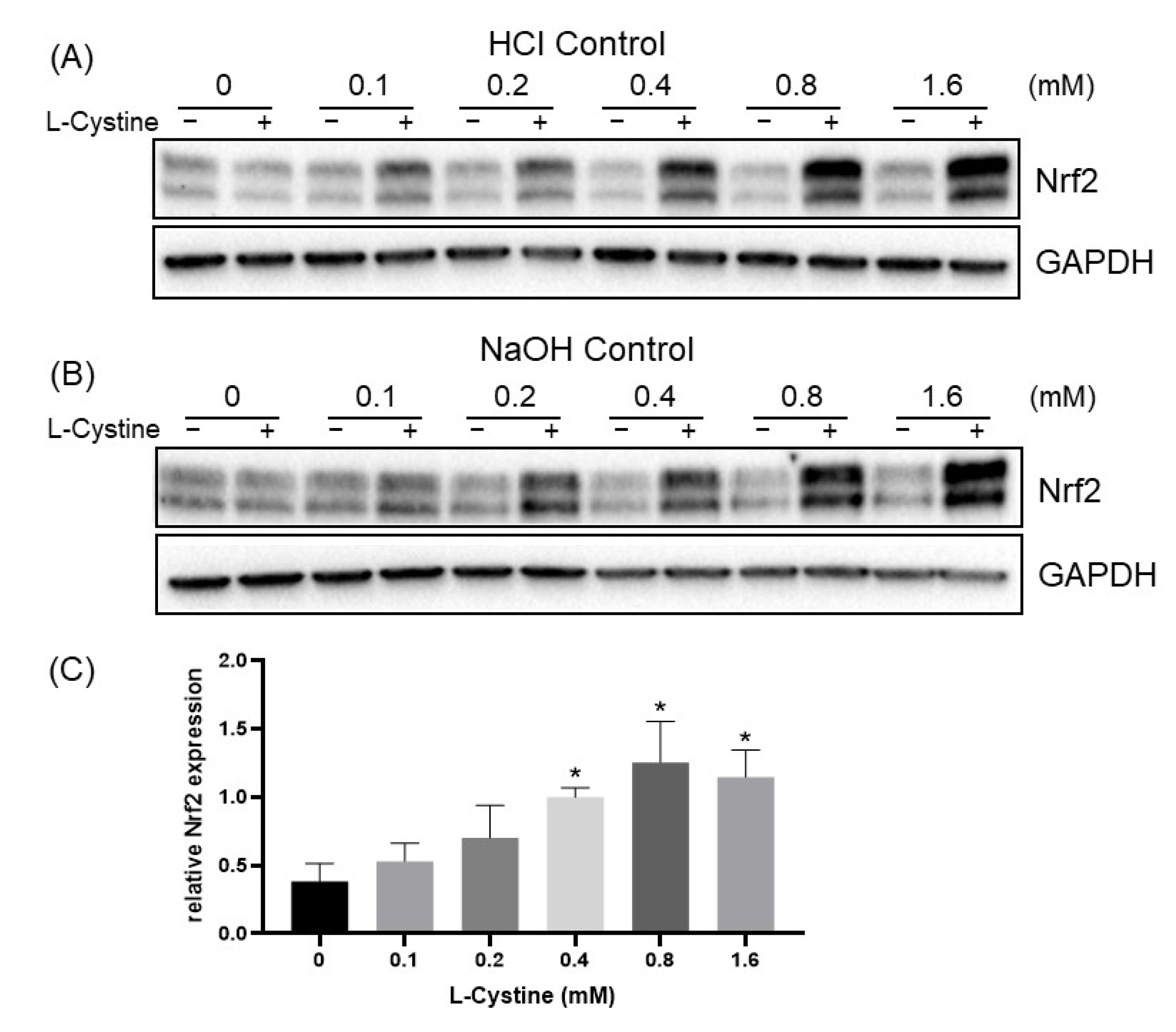 Cells 12 00291 g003 Cells 12 00291 g003