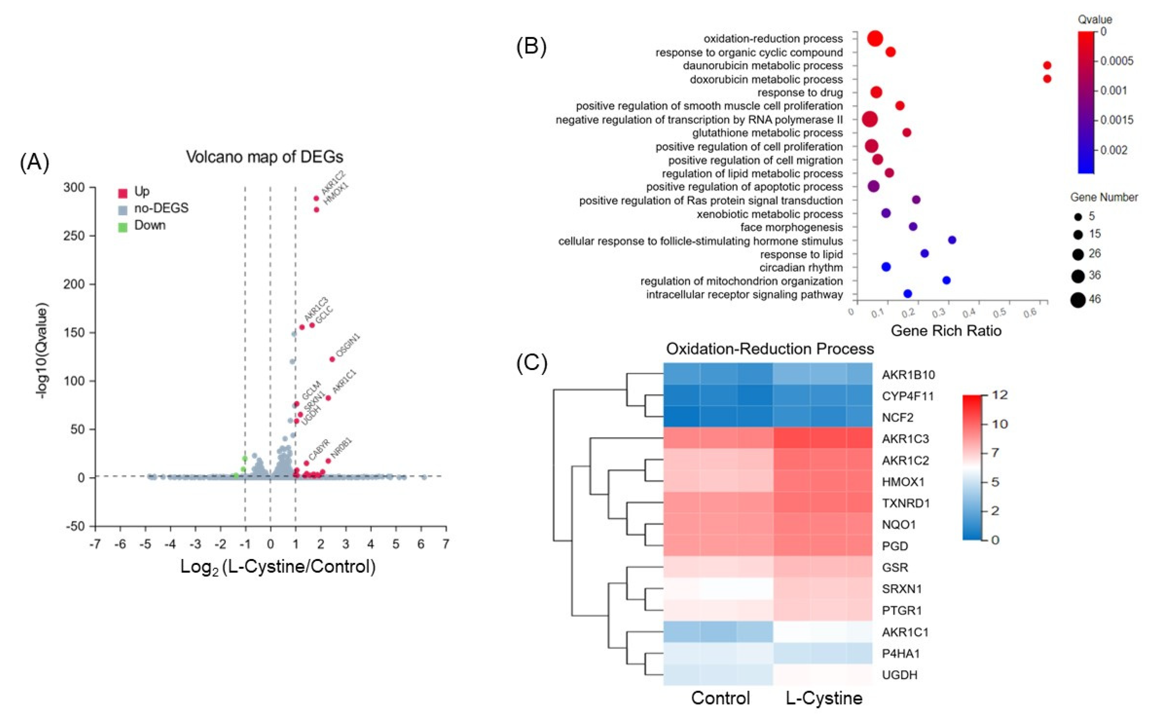 Cells 12 00291 g005 Cells 12 00291 g005