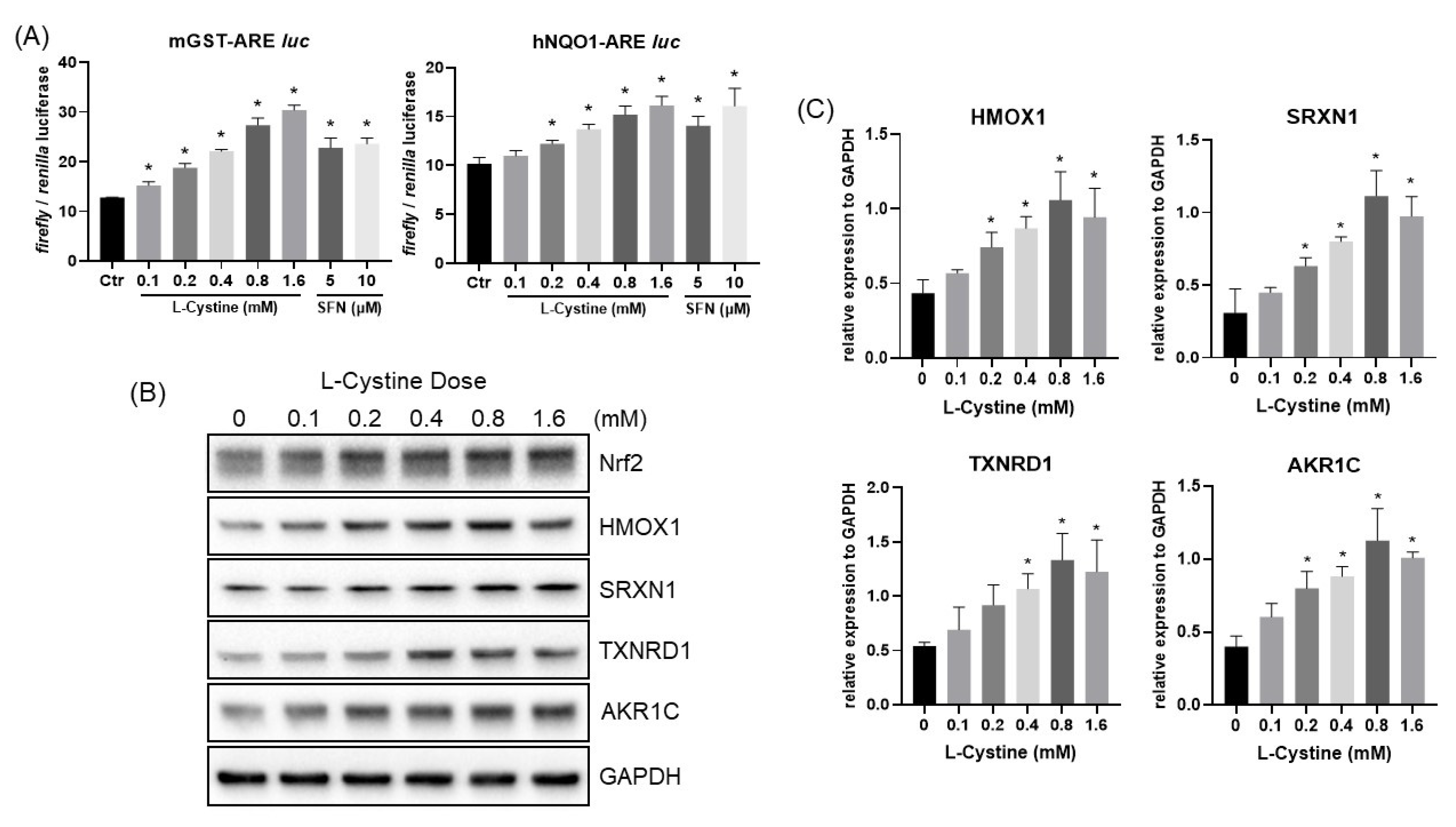 Cells 12 00291 g007 Cells 12 00291 g007