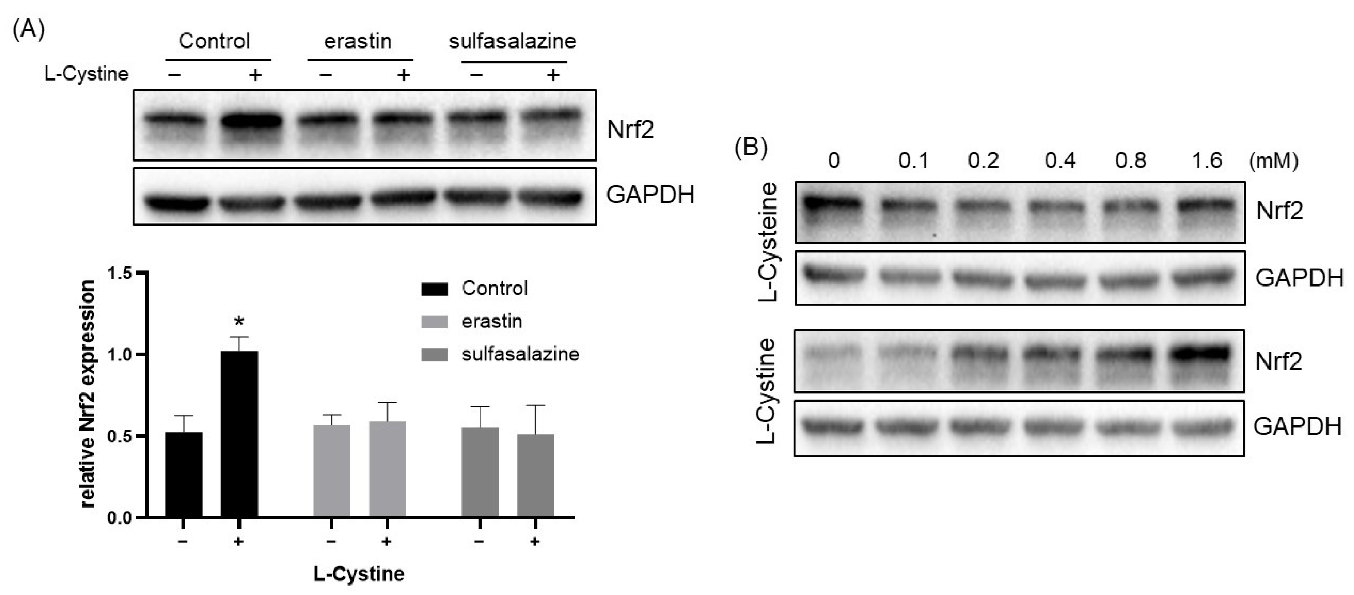 Cells 12 00291 g009 Cells 12 00291 g009