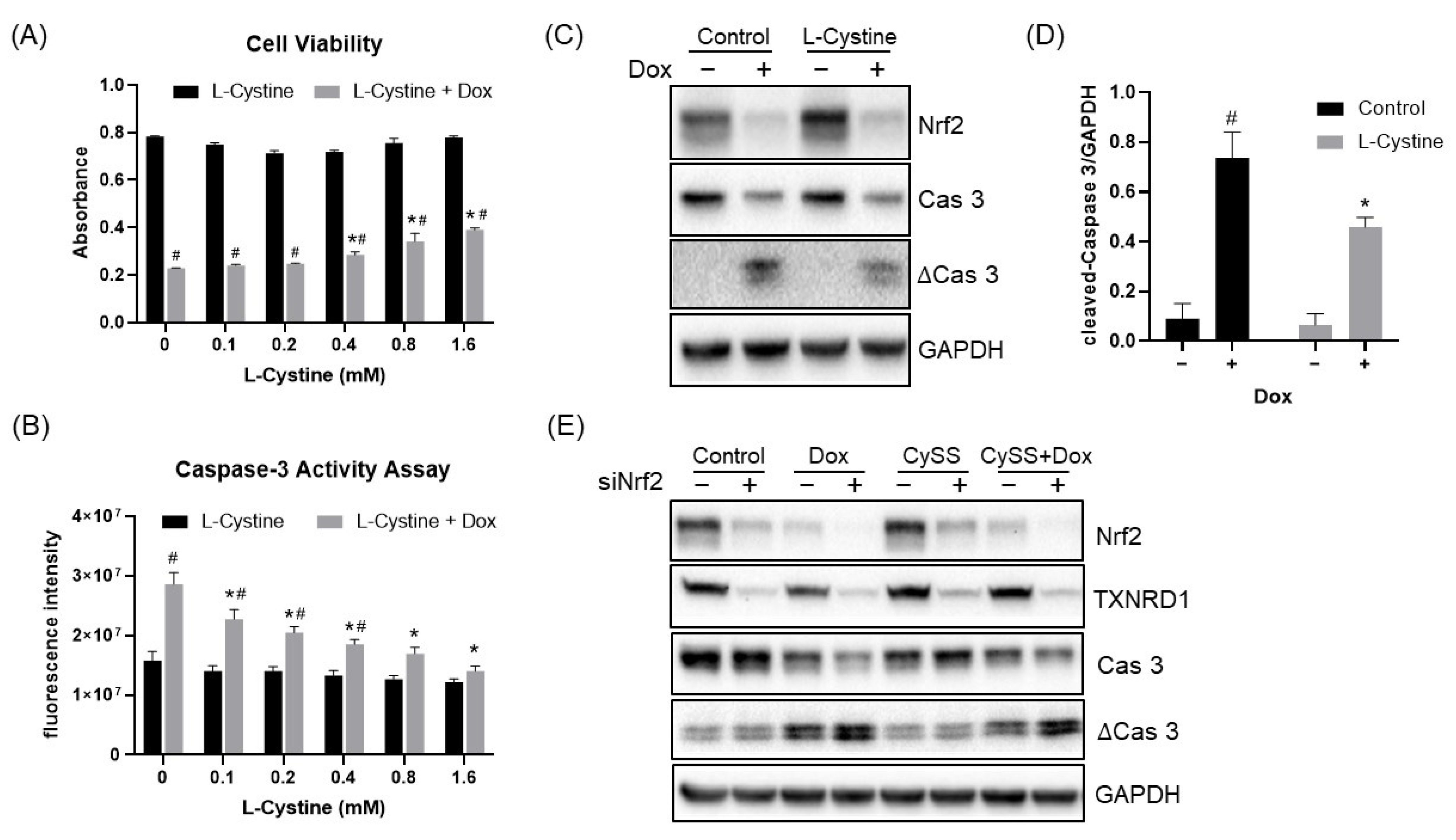 Cells 12 00291 g013 Cells 12 00291 g013