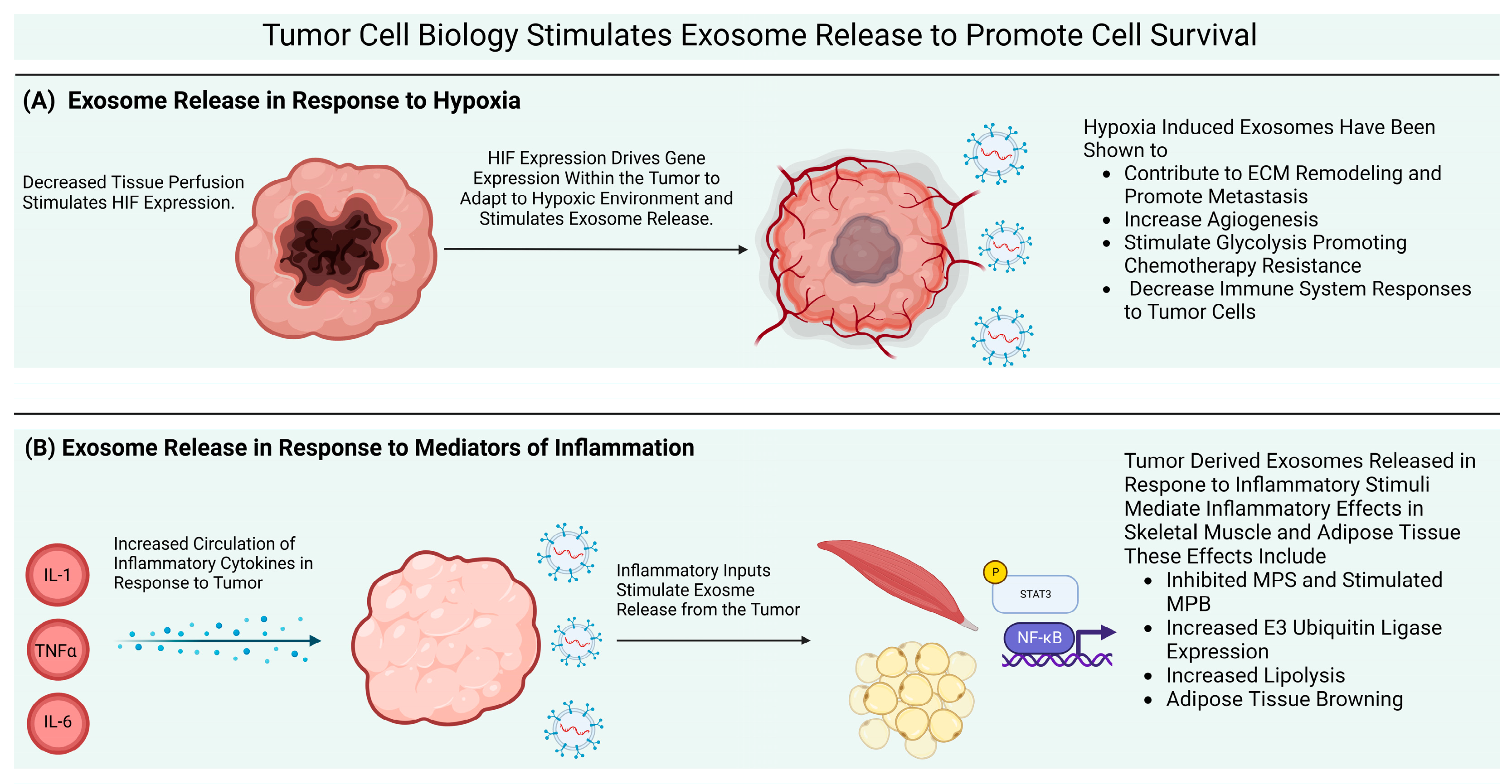 Cells 12 00292 g001 Cells 12 00292 g001