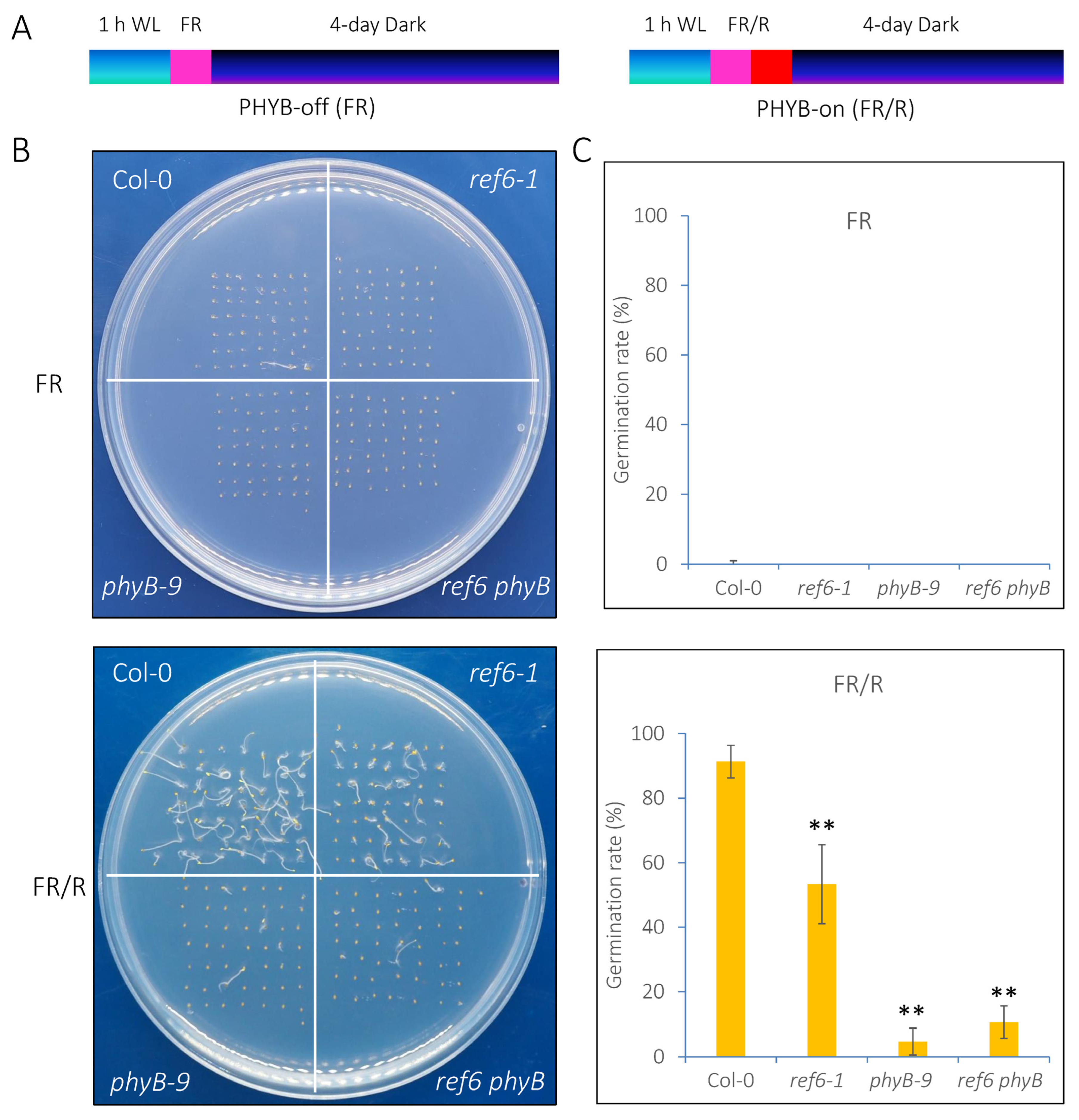 Cells 12 00295 g002 Cells 12 00295 g002