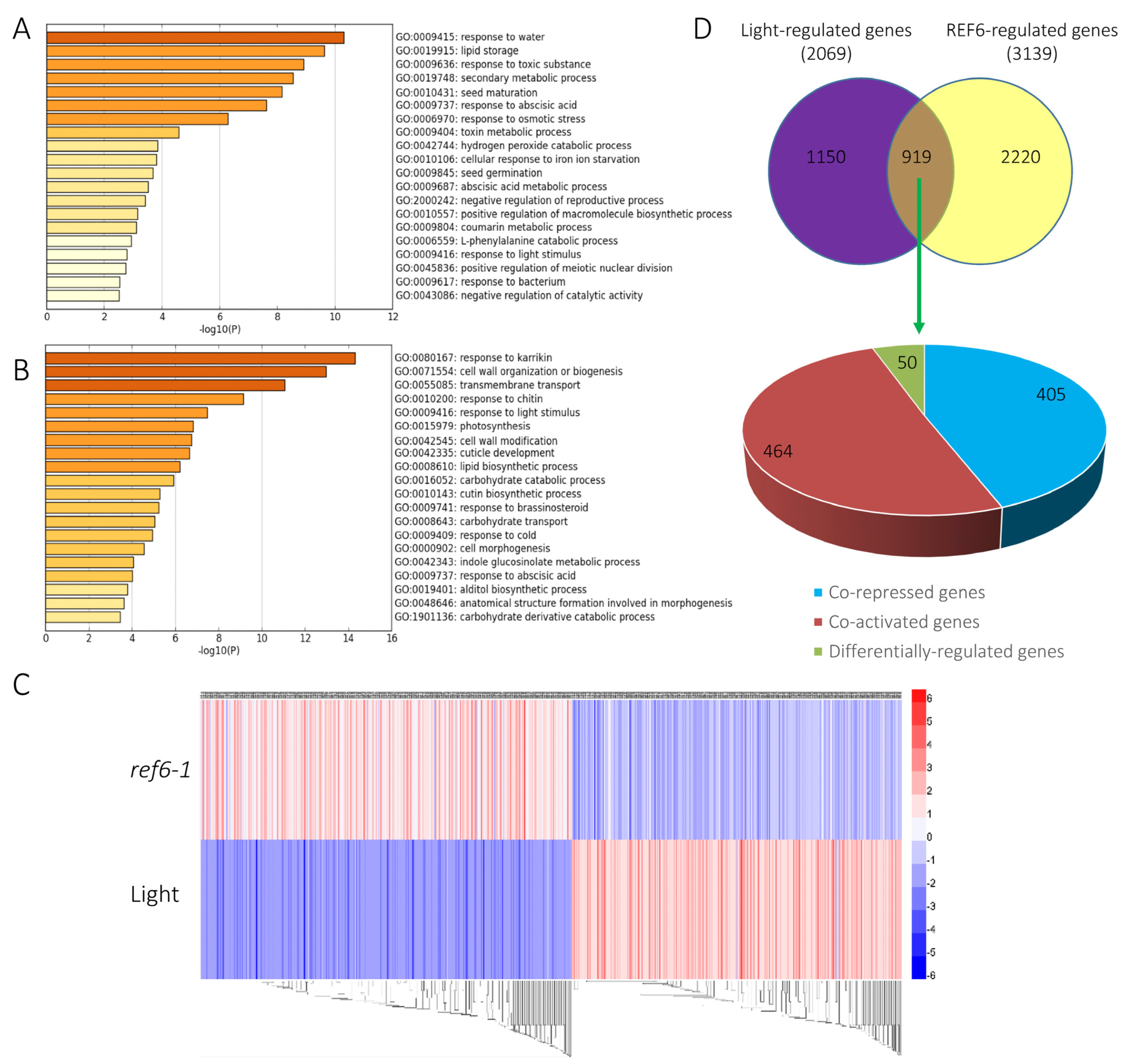 Cells 12 00295 g003 Cells 12 00295 g003