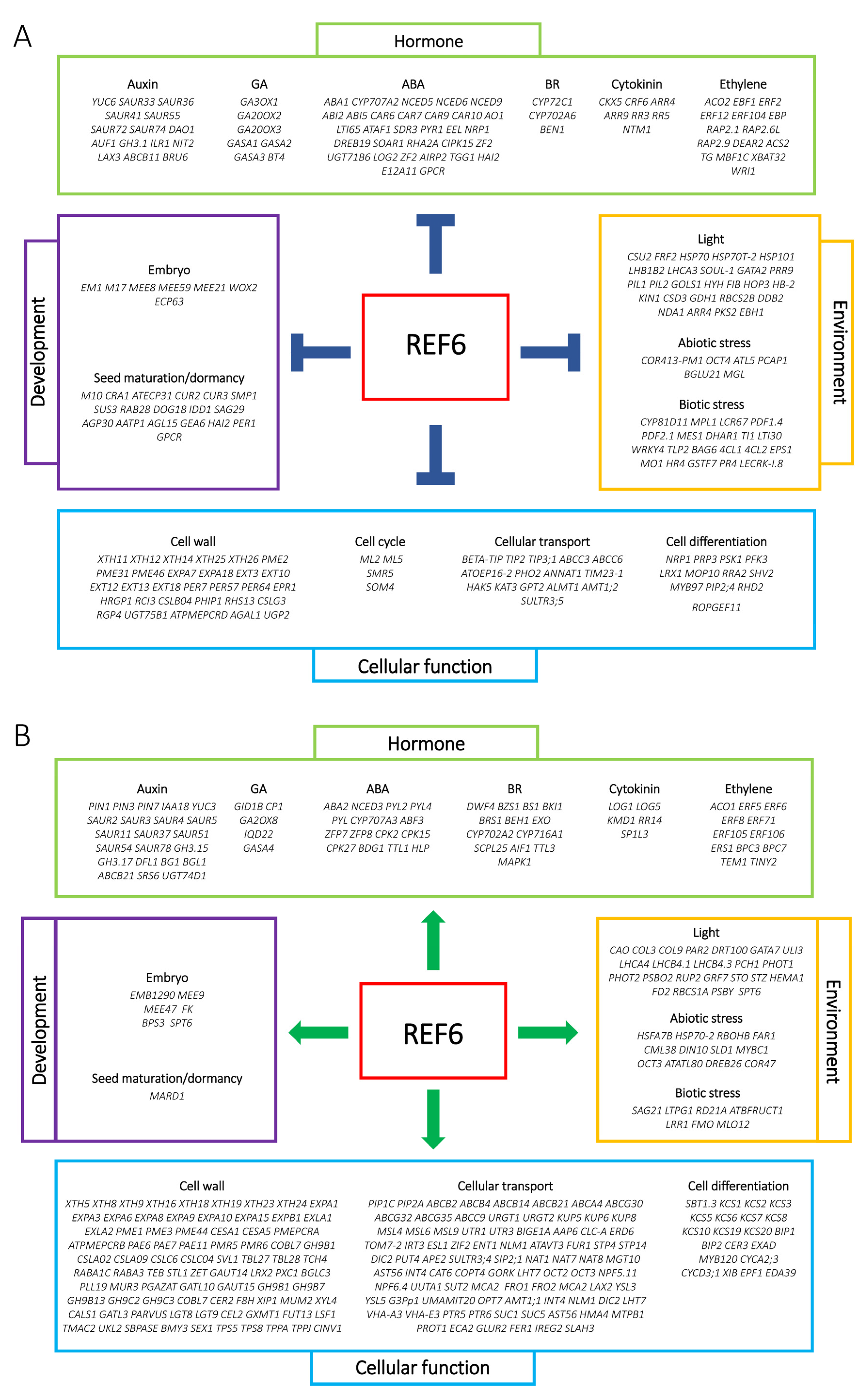 Cells 12 00295 g004 Cells 12 00295 g004