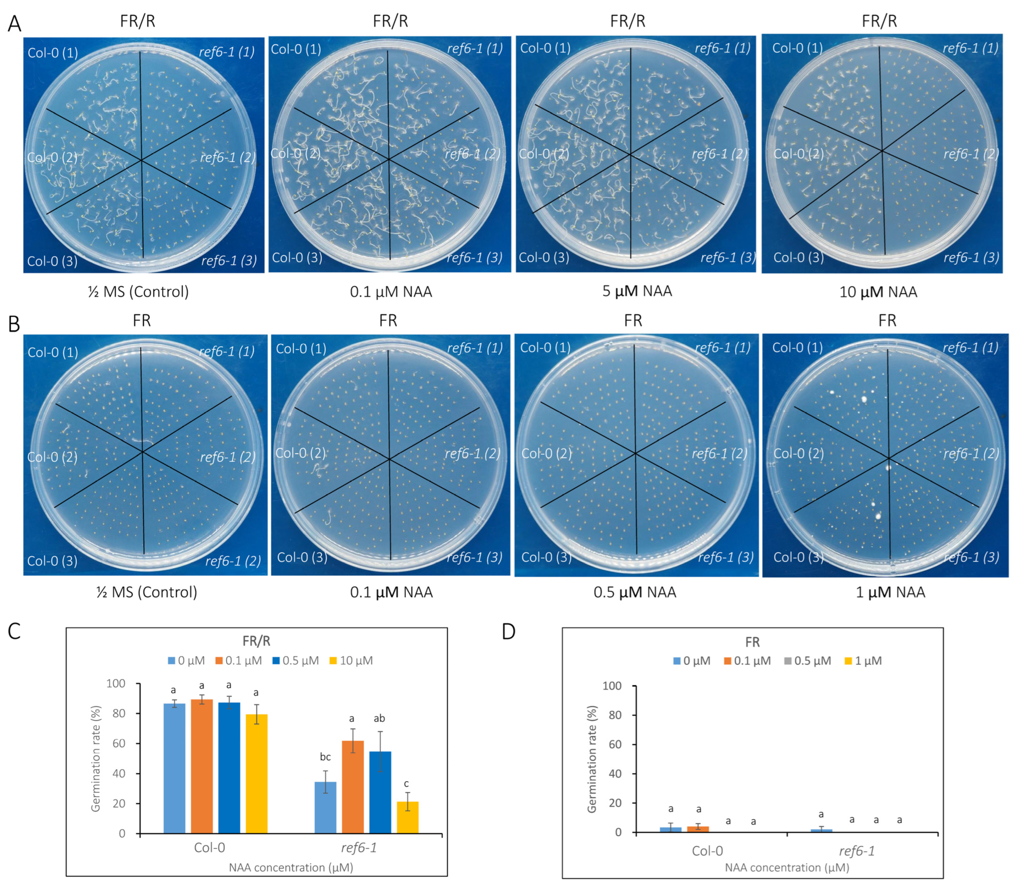 Cells 12 00295 g006 Cells 12 00295 g006
