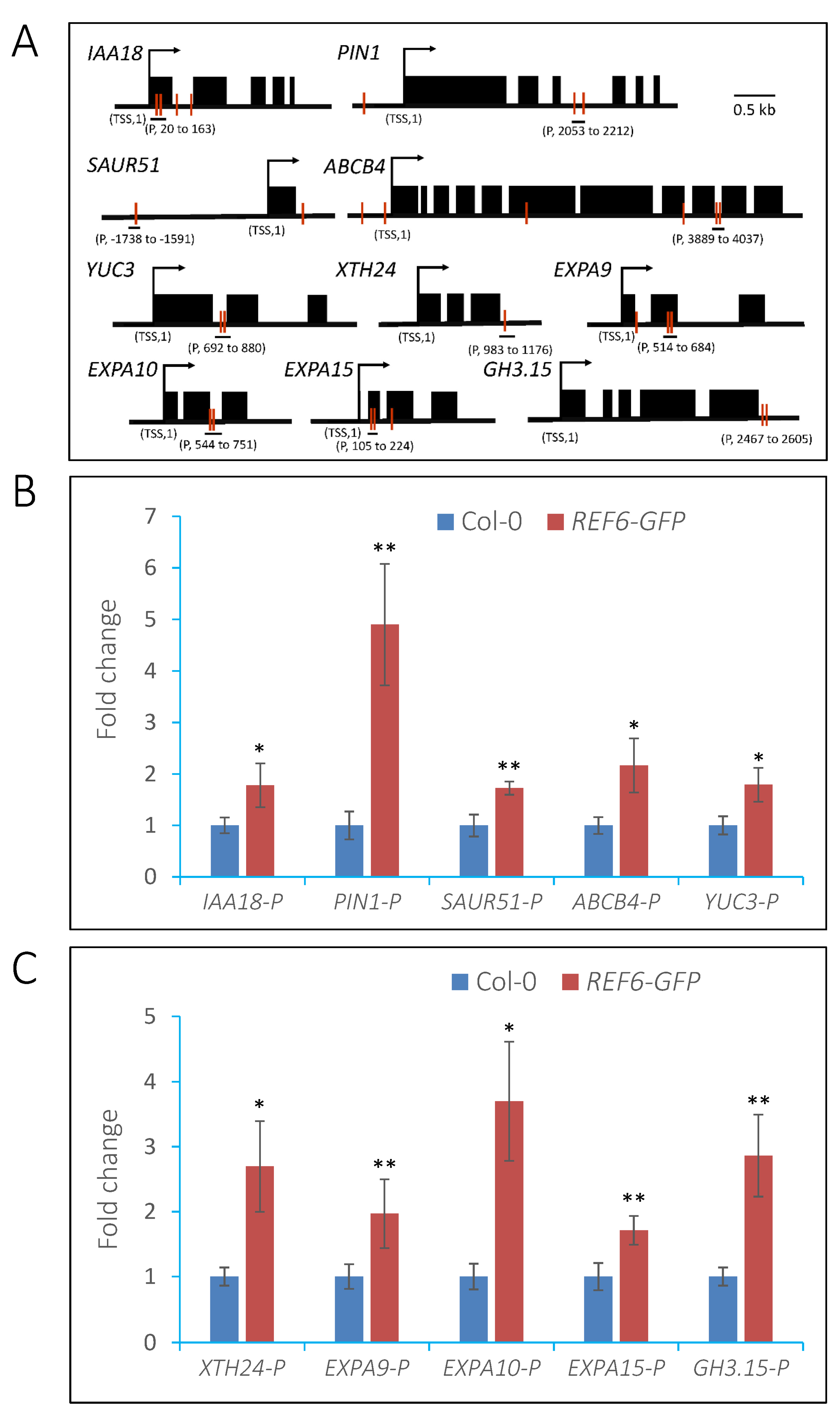 Cells 12 00295 g008 Cells 12 00295 g008