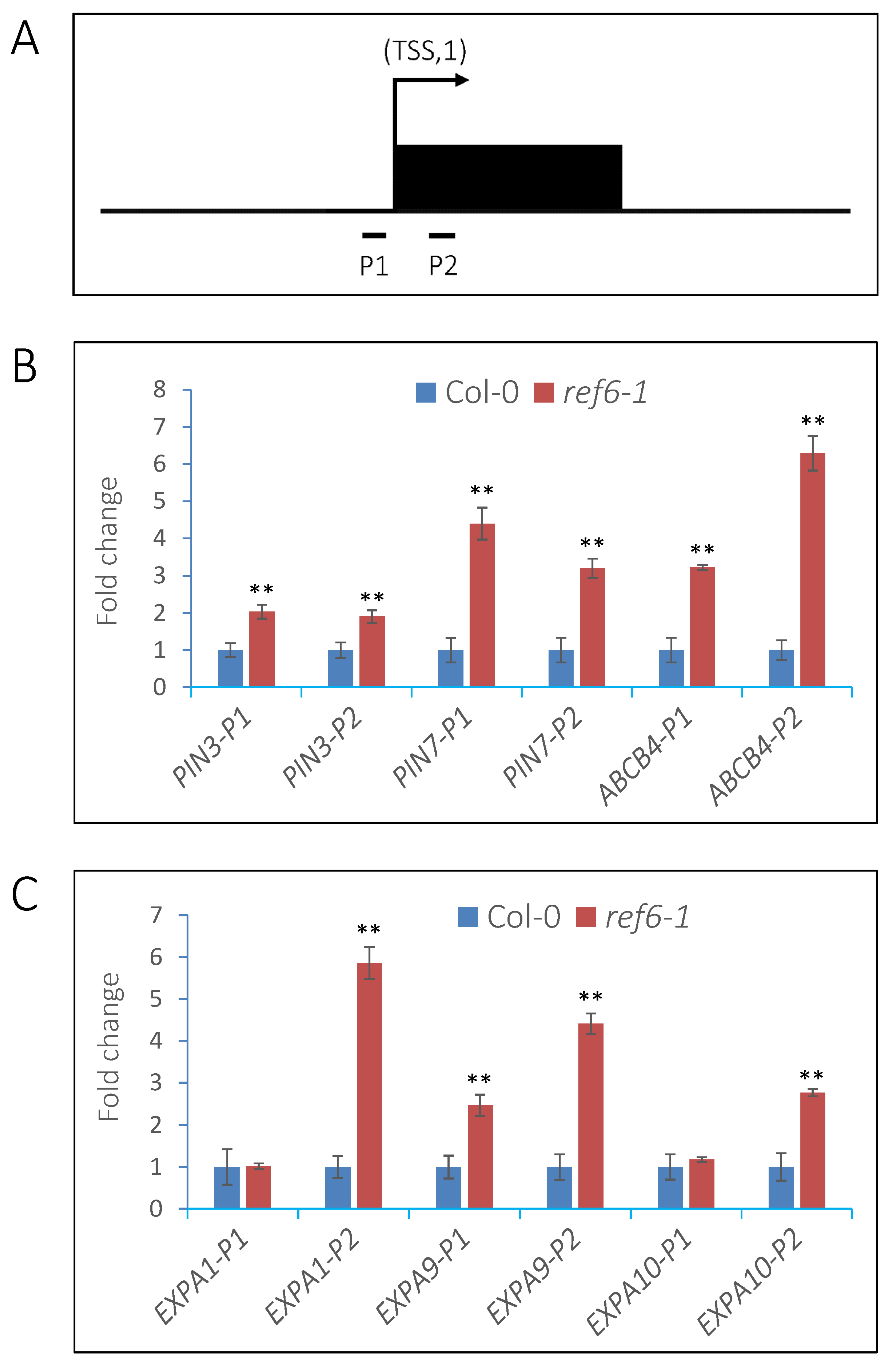 Cells 12 00295 g009 Cells 12 00295 g009