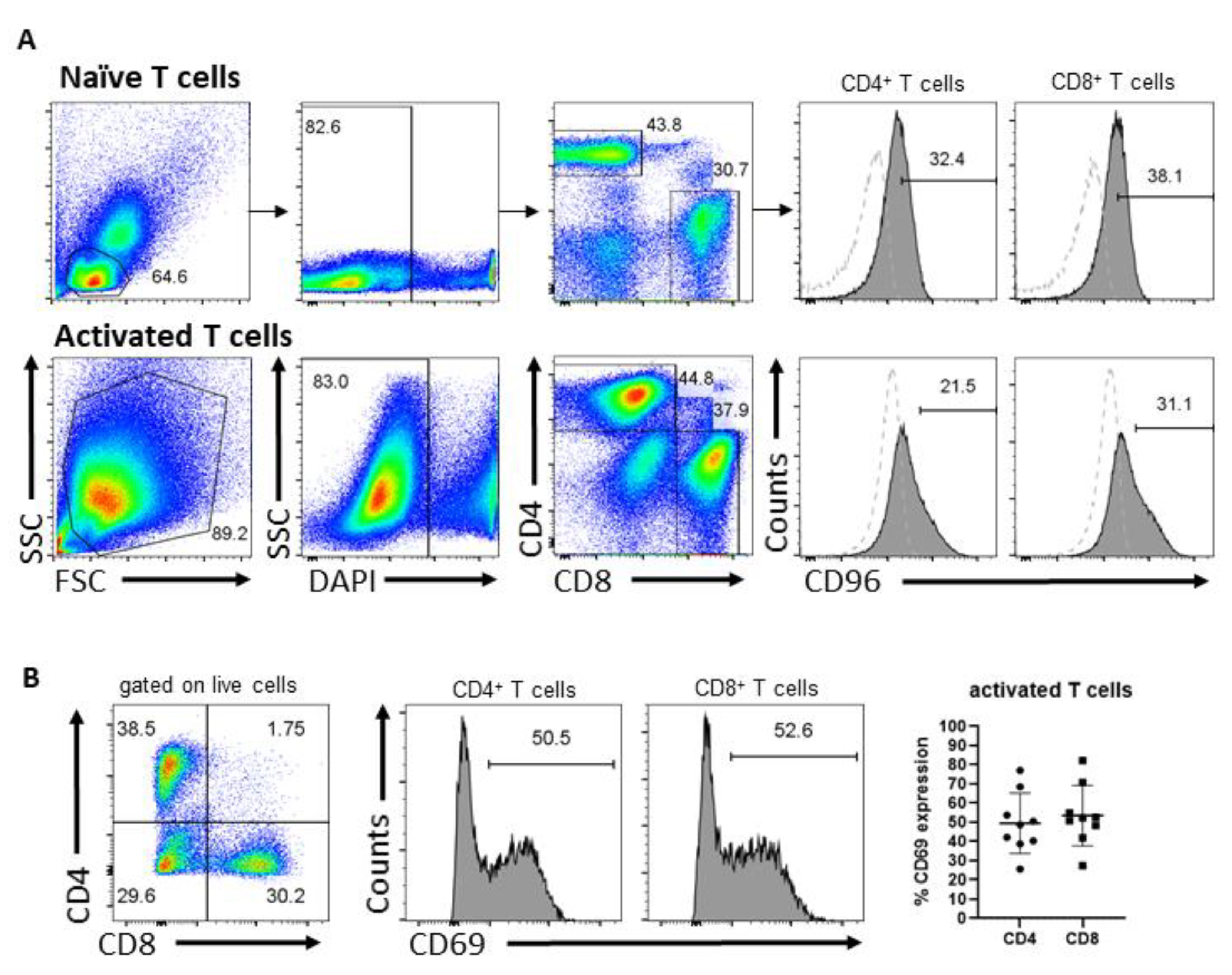 Cells 12 00309 g001 Cells 12 00309 g001