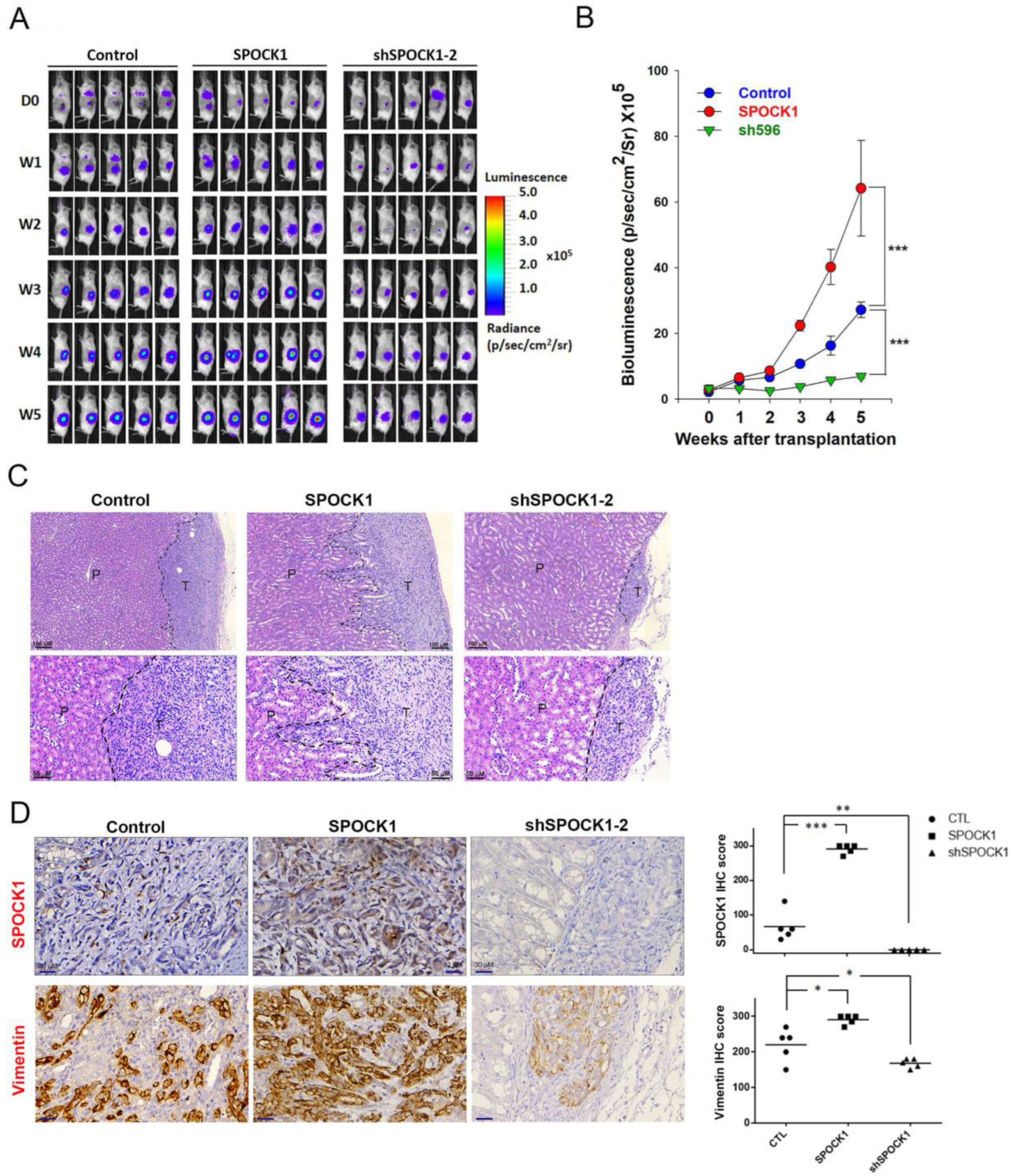 Cells 12 00352 g006 Cells 12 00352 g006