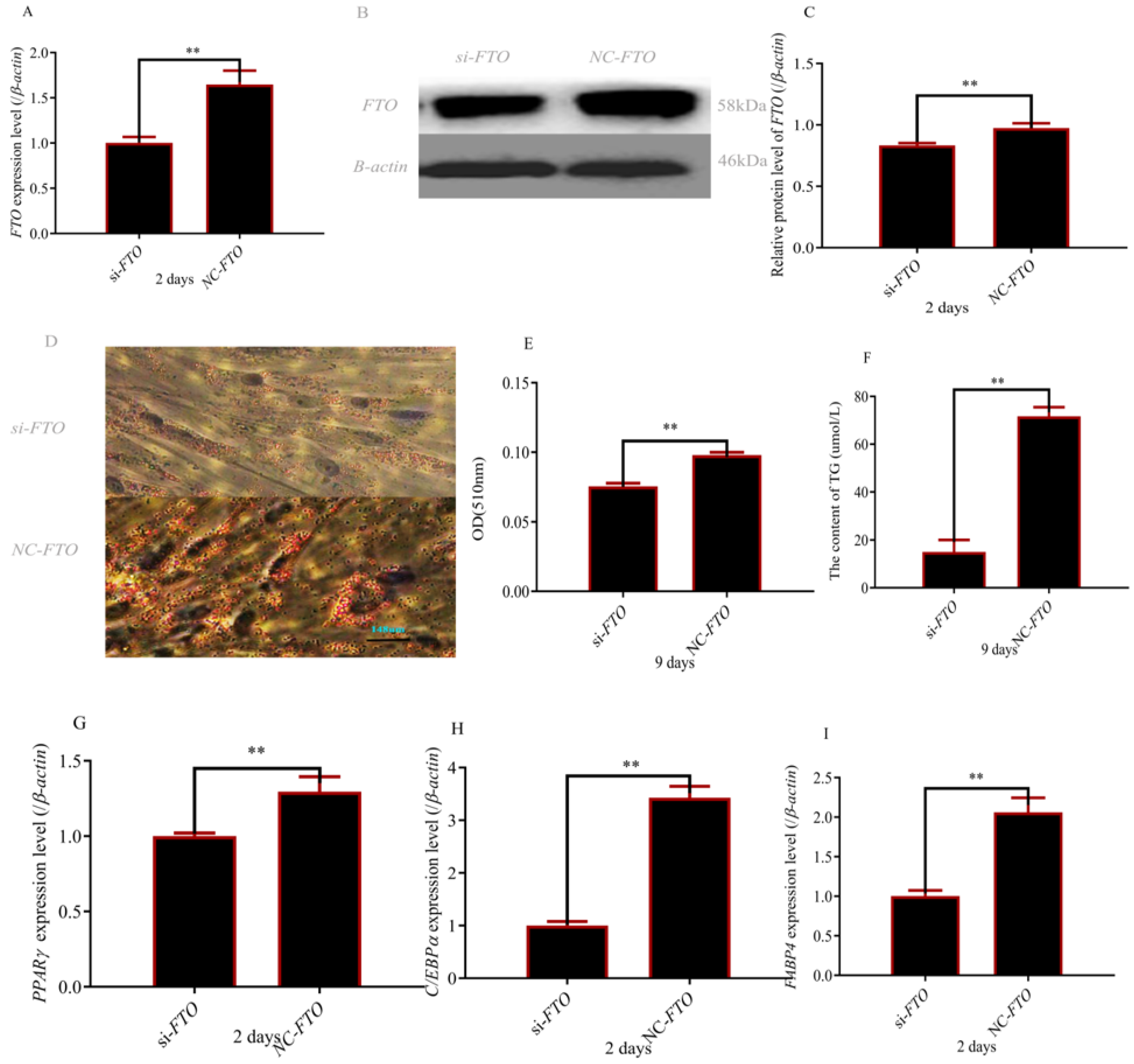 Cells 12 00369 g002 Cells 12 00369 g002