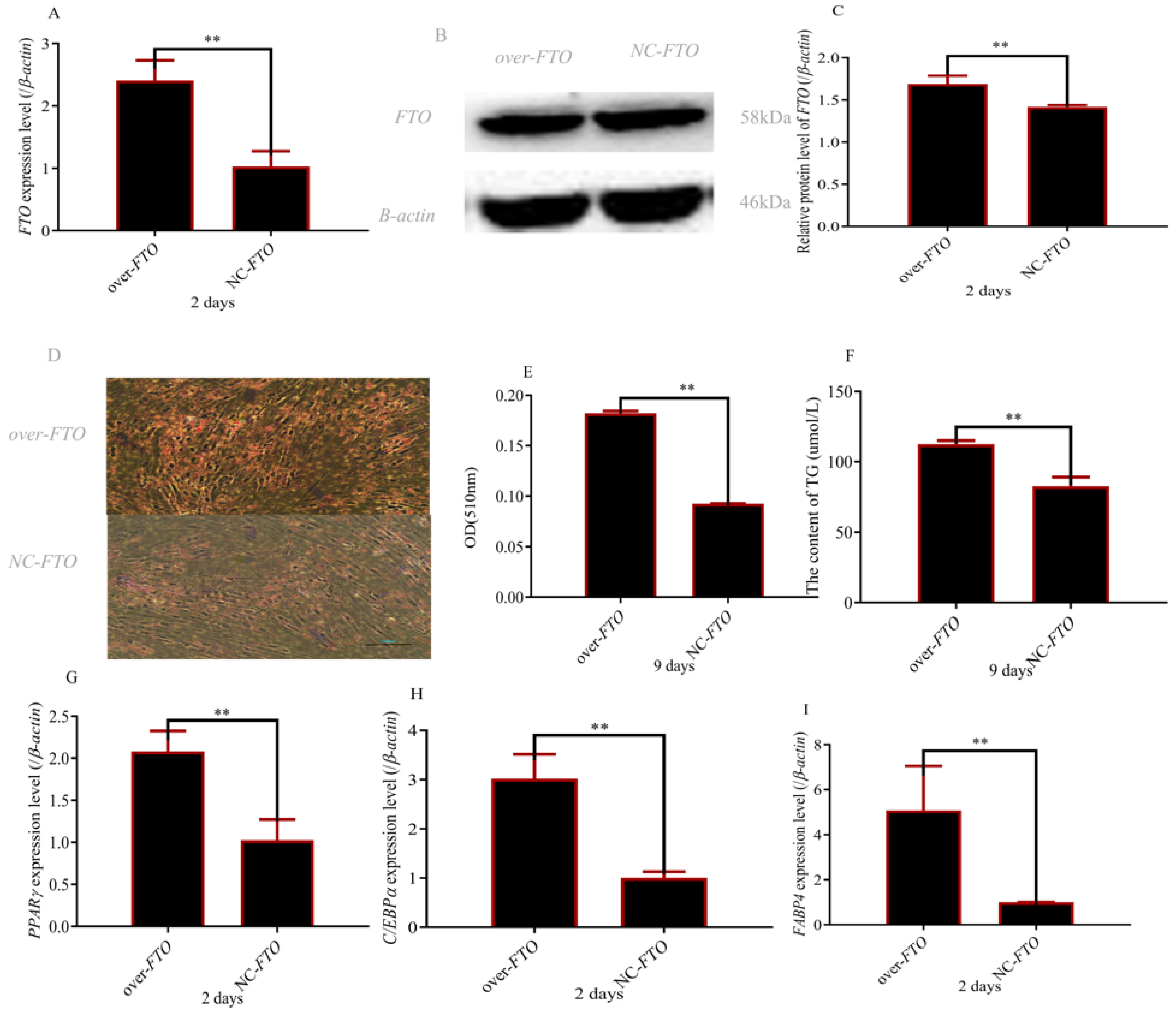 Cells 12 00369 g003 Cells 12 00369 g003