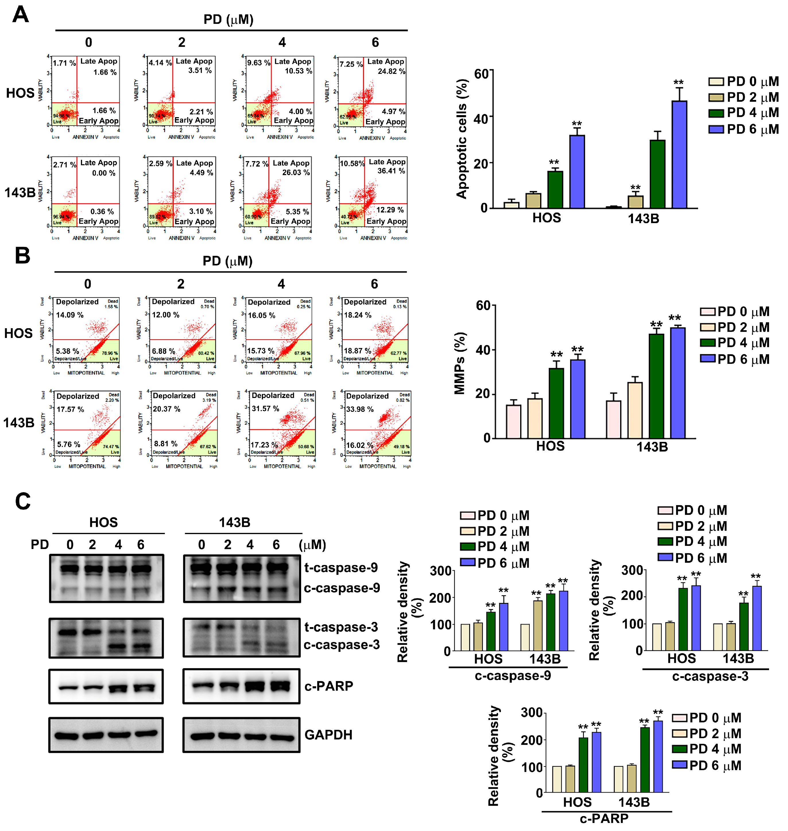 Cells 12 00395 g002 Cells 12 00395 g002