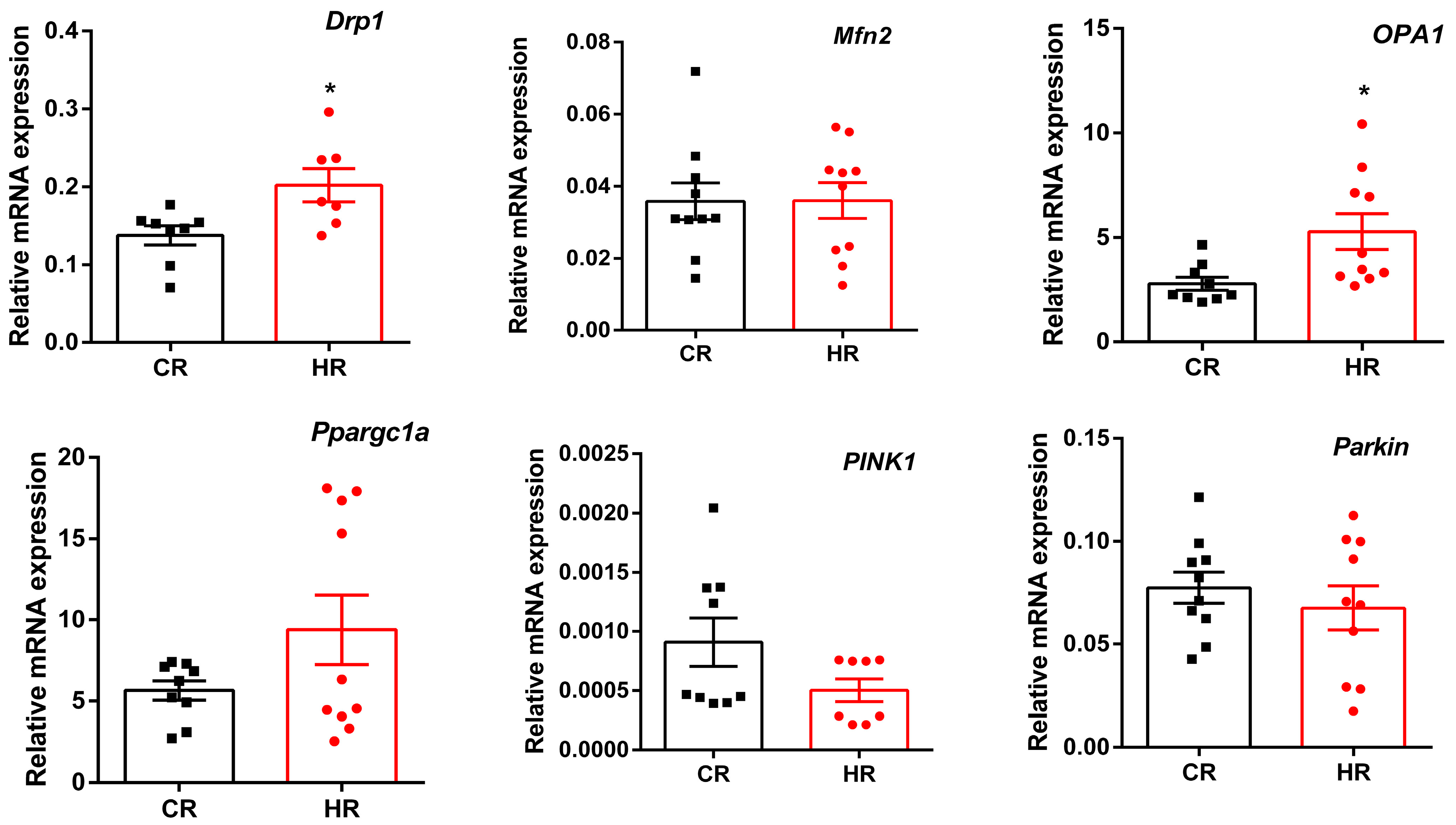 Cells 12 00396 g003 Cells 12 00396 g003