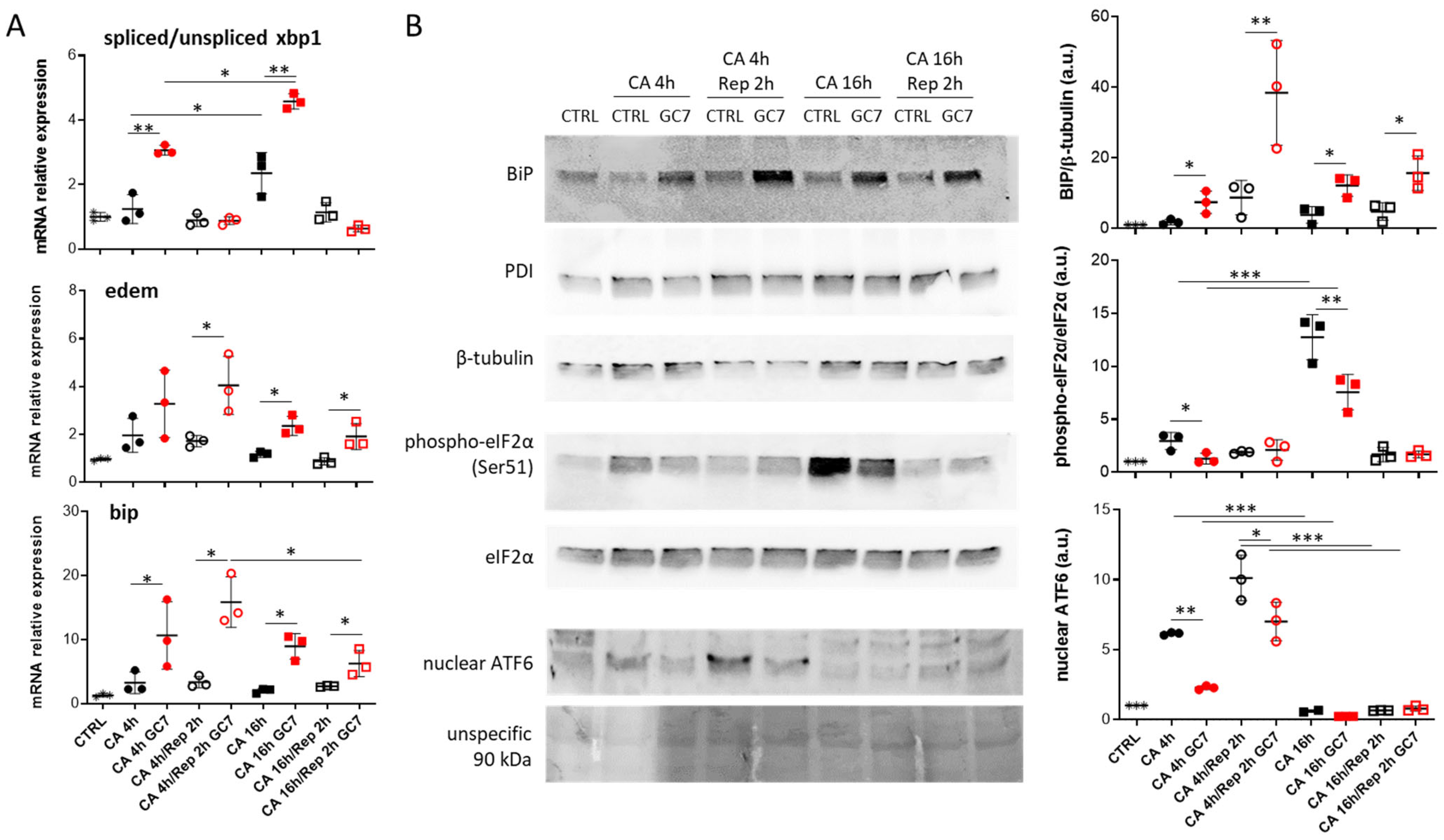Cells 12 00409 g004 Cells 12 00409 g004