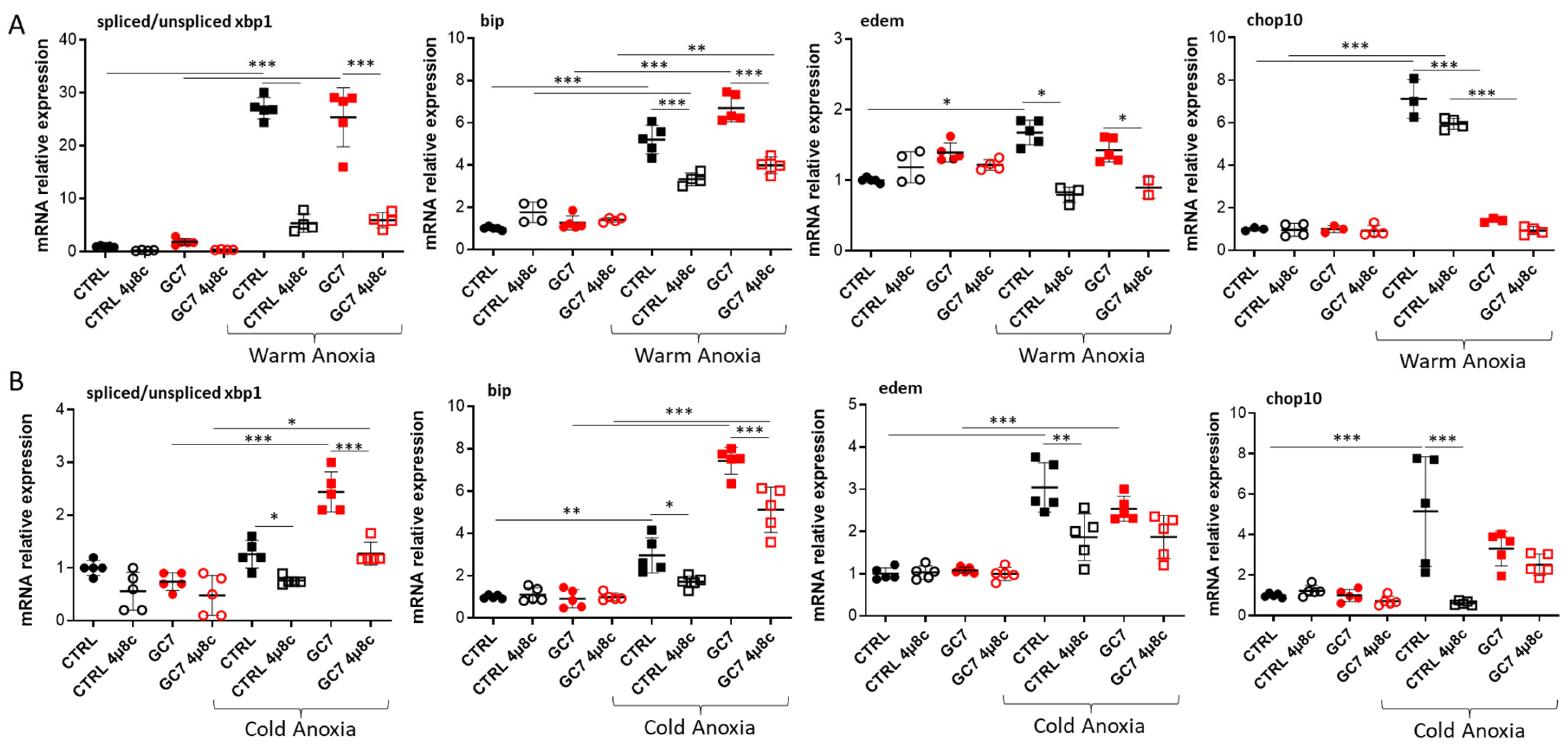 Cells 12 00409 g006 Cells 12 00409 g006